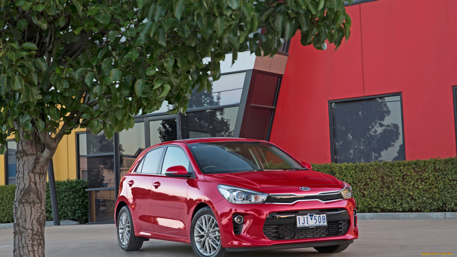 автомобили, kia