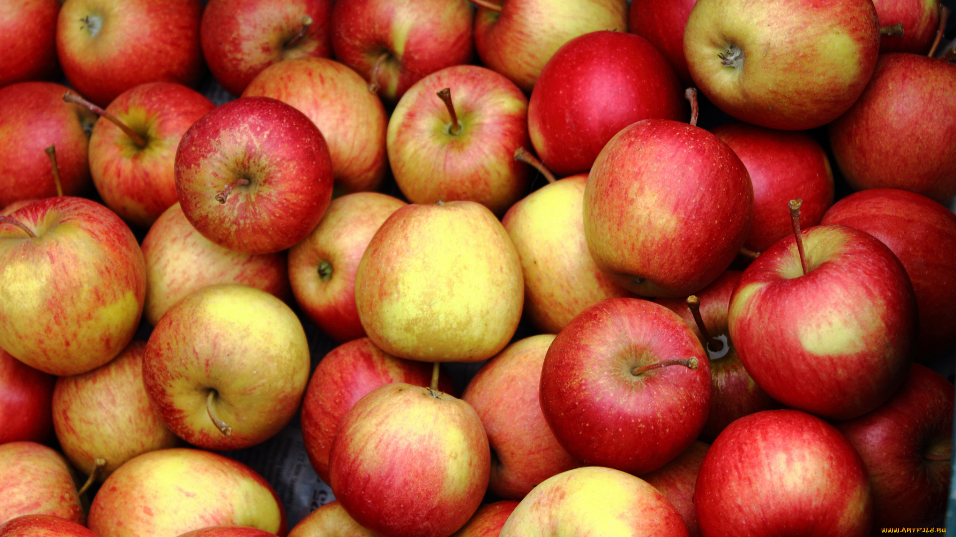 еда, Яблоки, плоды