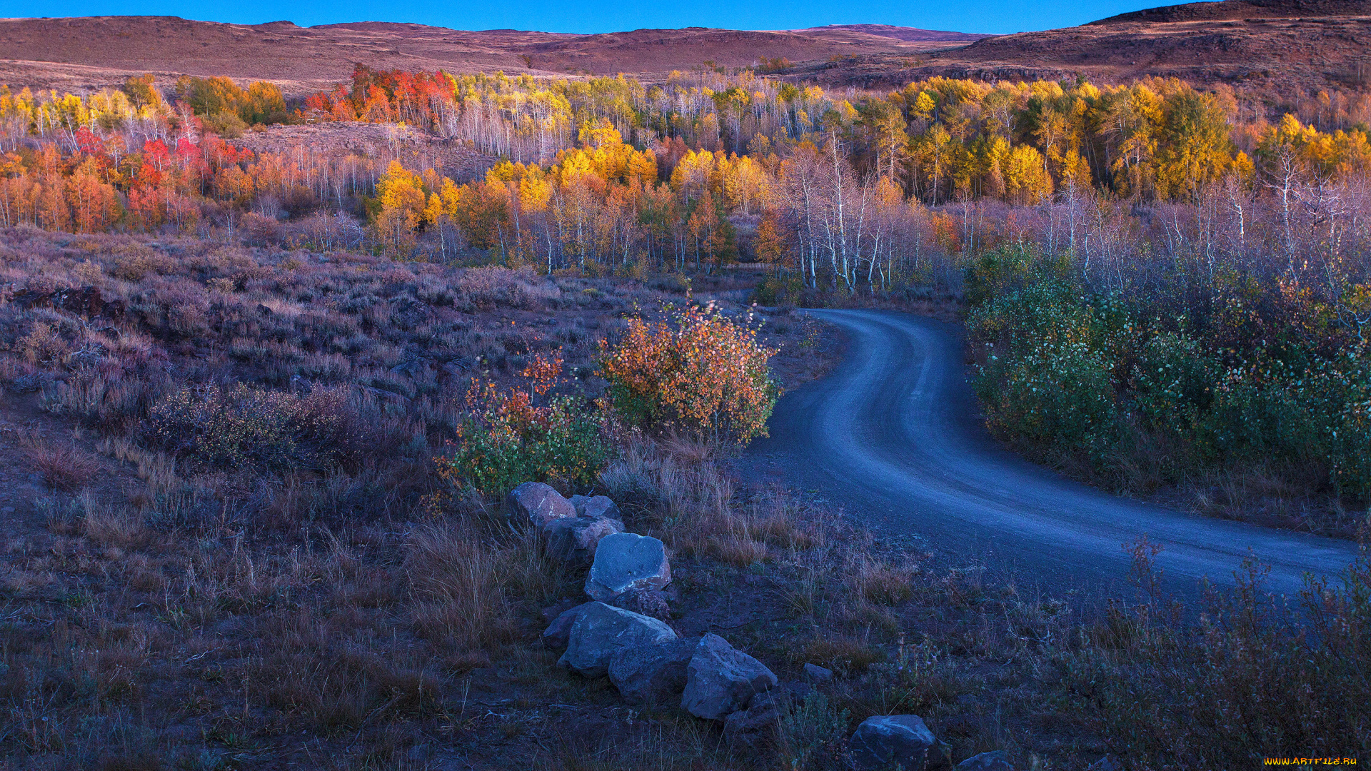 природа, дороги, холмы, осень, пейзаж, камни, деревья