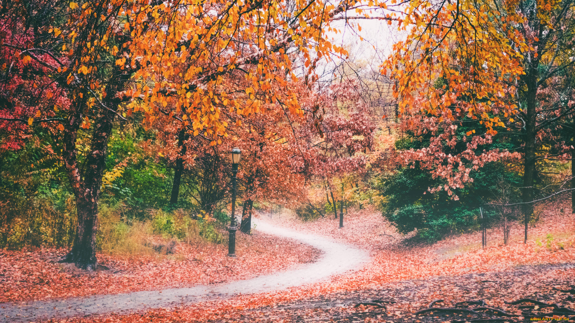 природа, дороги, национальный, парк, ордеса, восход, монте, пердидо