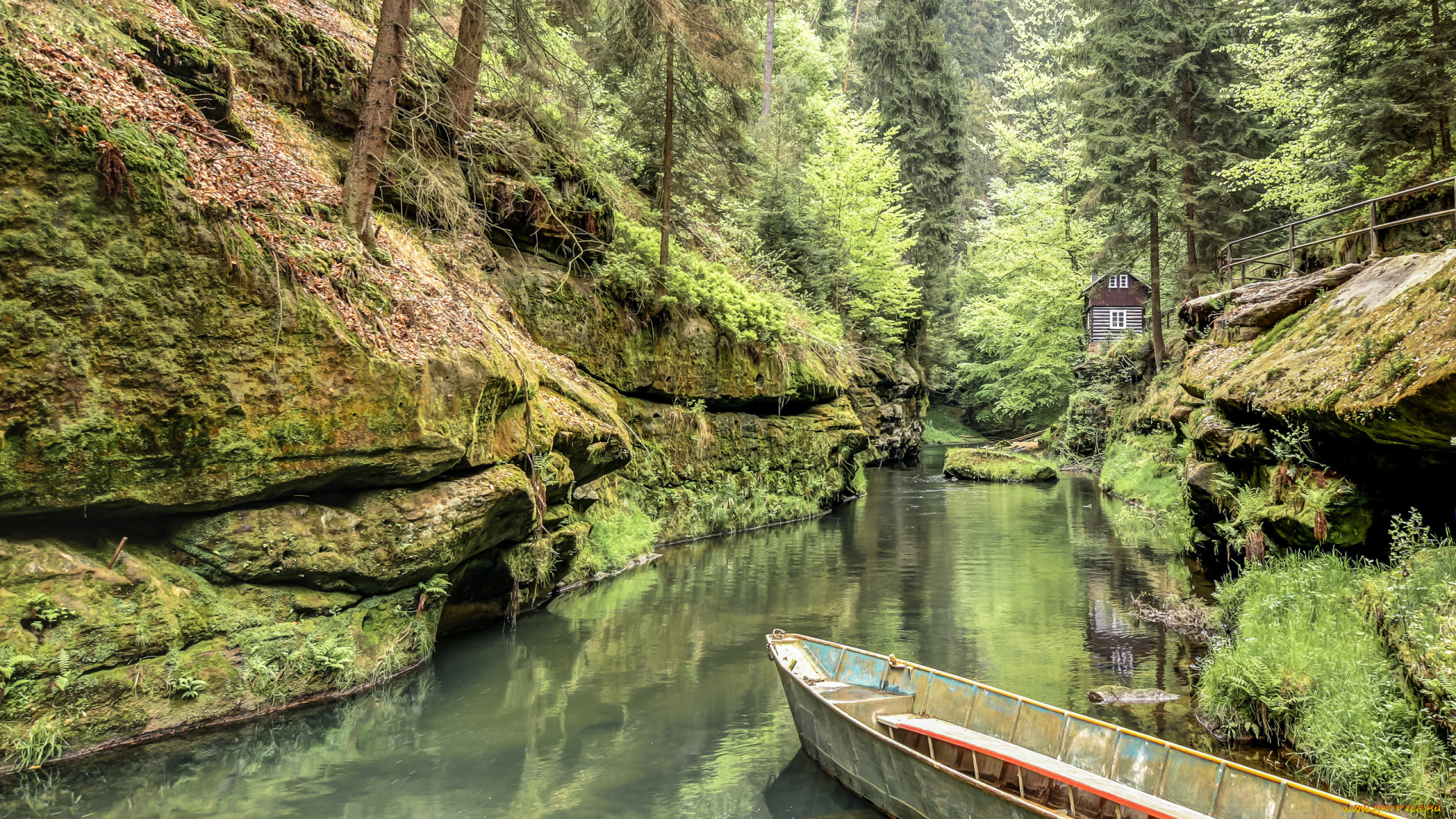 природа, реки, озера, река, скала