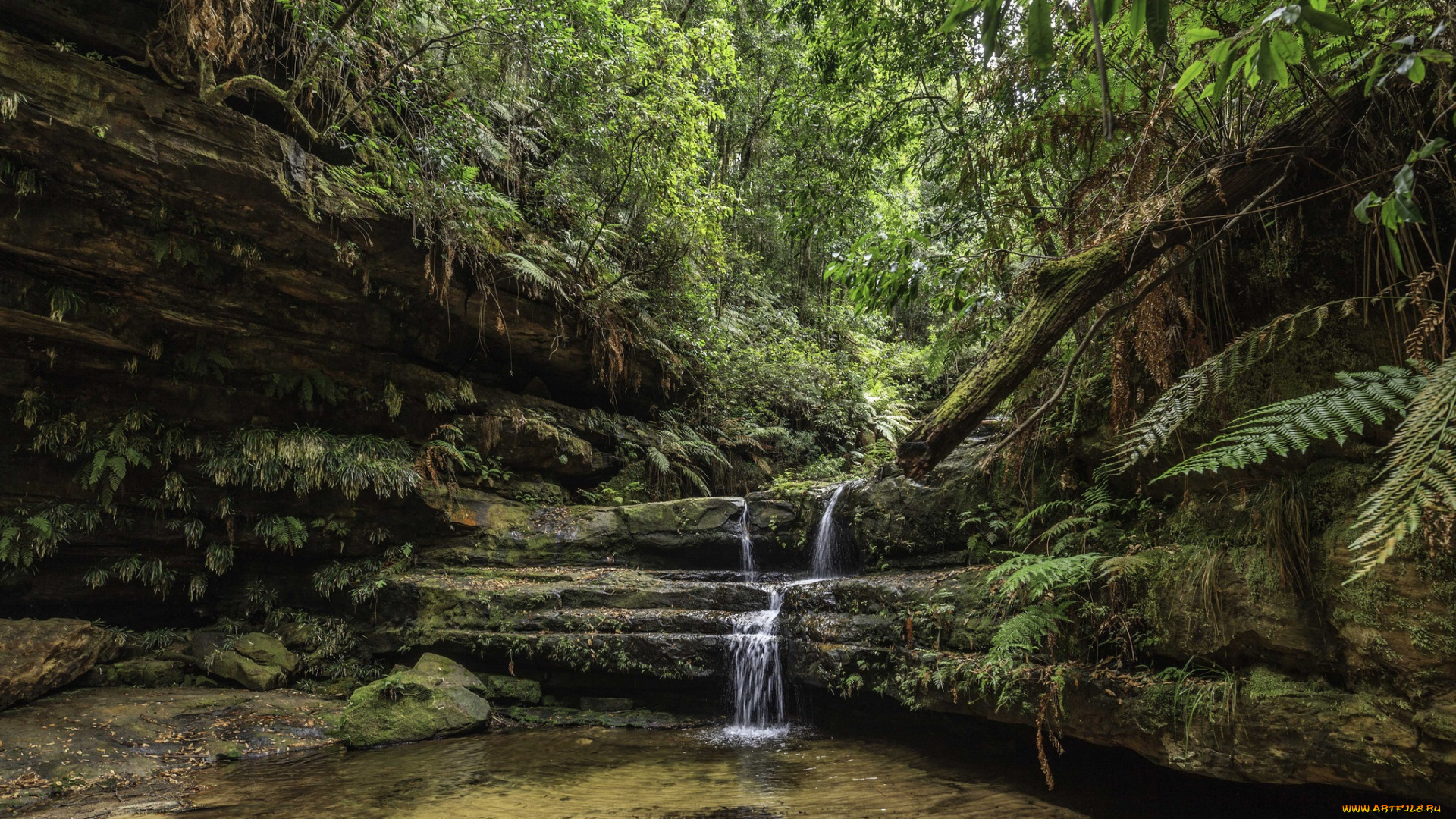 природа, водопады, лес, водопад, река