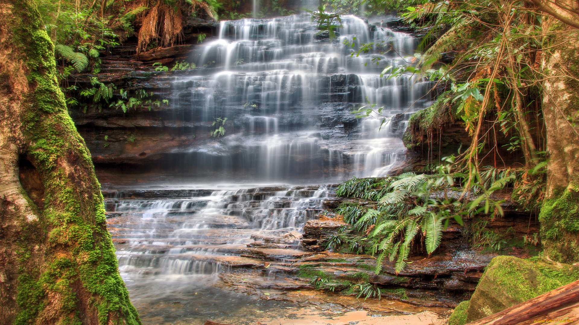 природа, водопады, река, водопад, лес