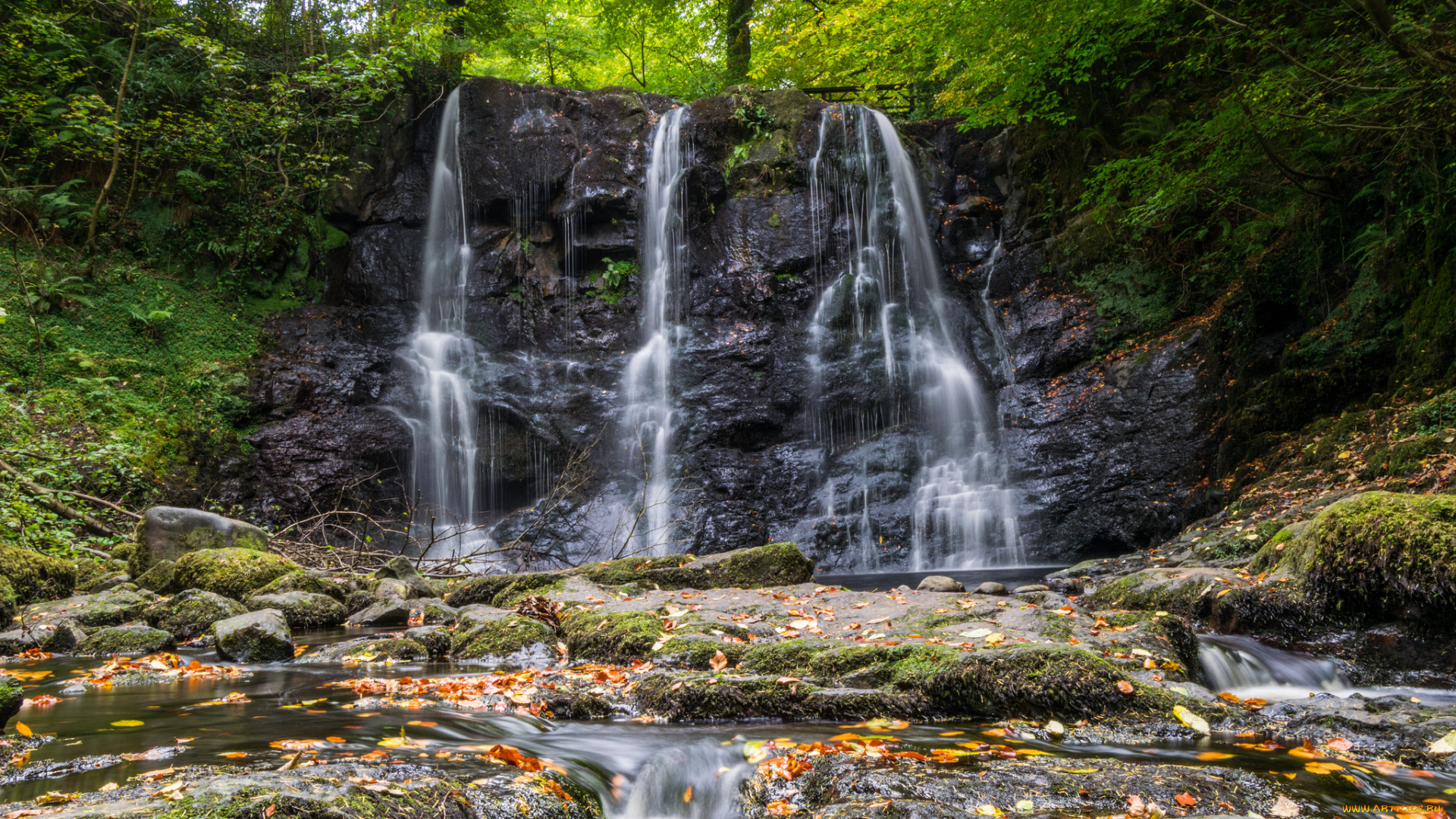 природа, водопады, водопад, река, лес