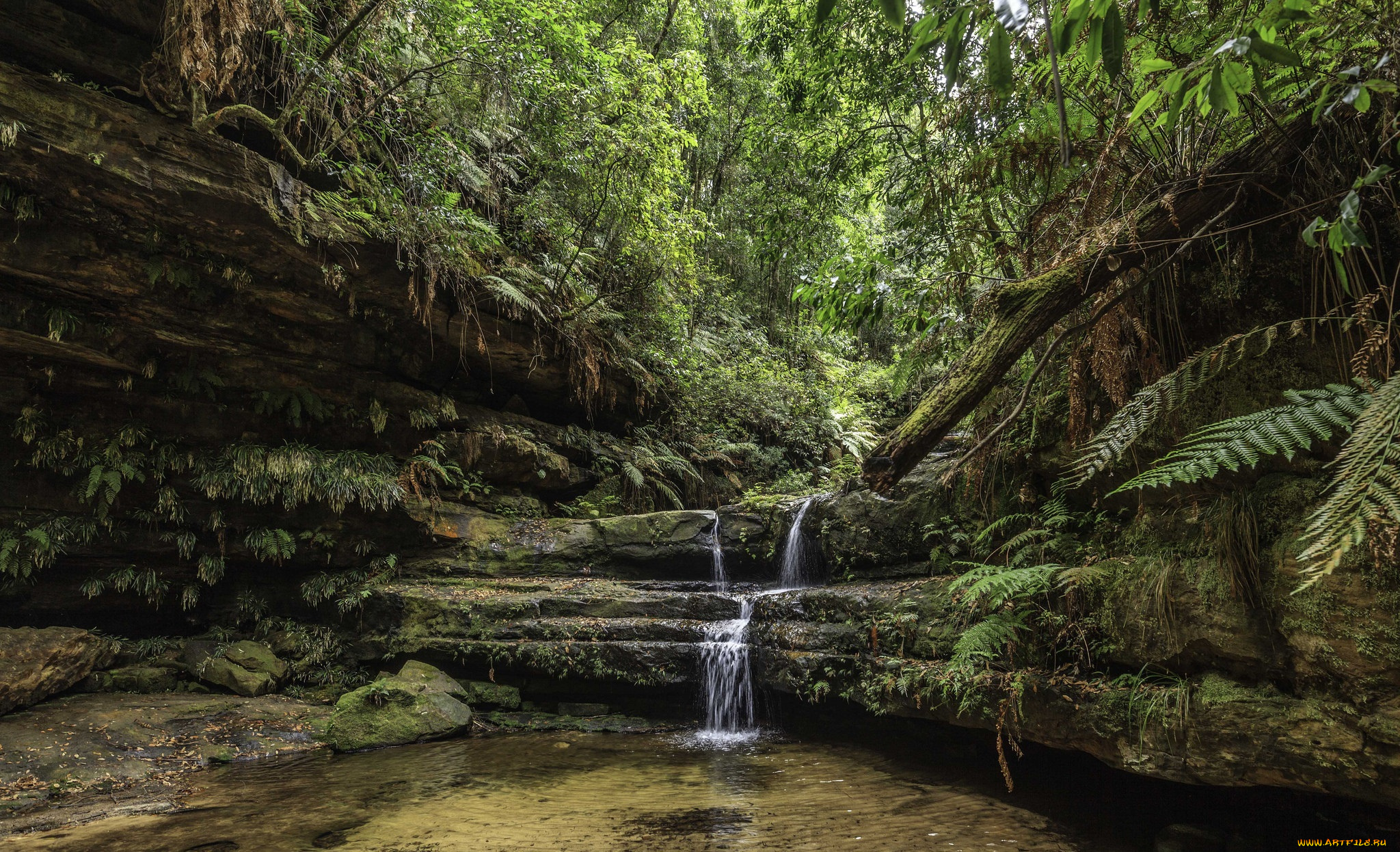 природа, водопады, лес, водопад, река