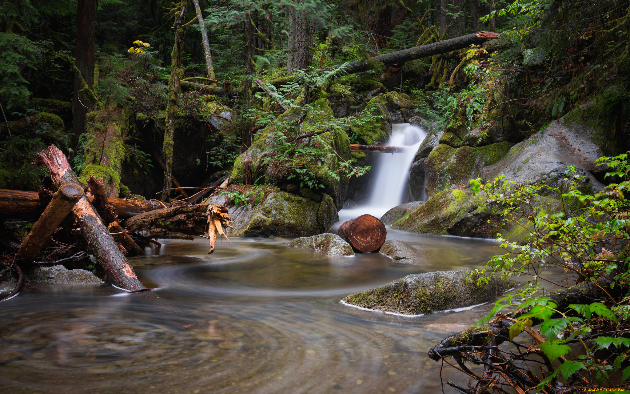 природа, водопады, лес, водопад, река