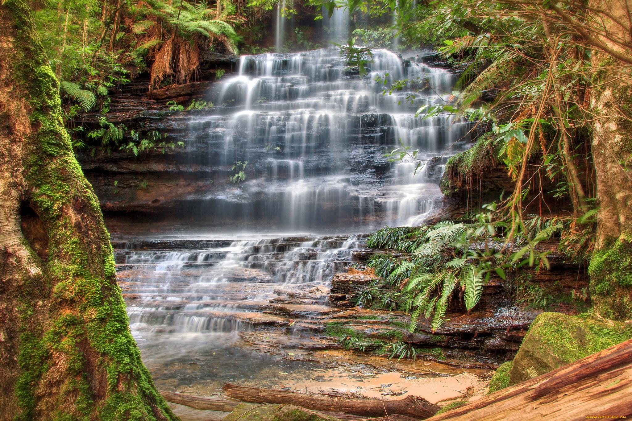 природа, водопады, река, водопад, лес