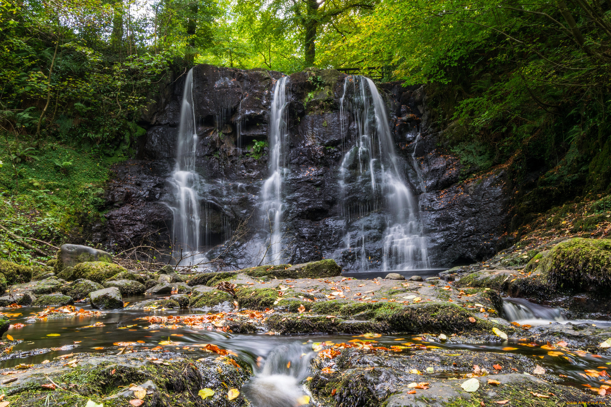 природа, водопады, водопад, река, лес
