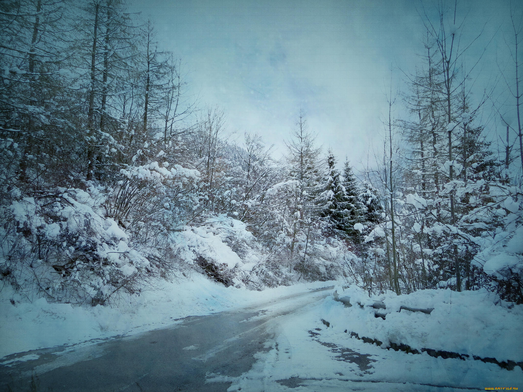 природа, дороги, пейзаж, дорога, деревья, лес