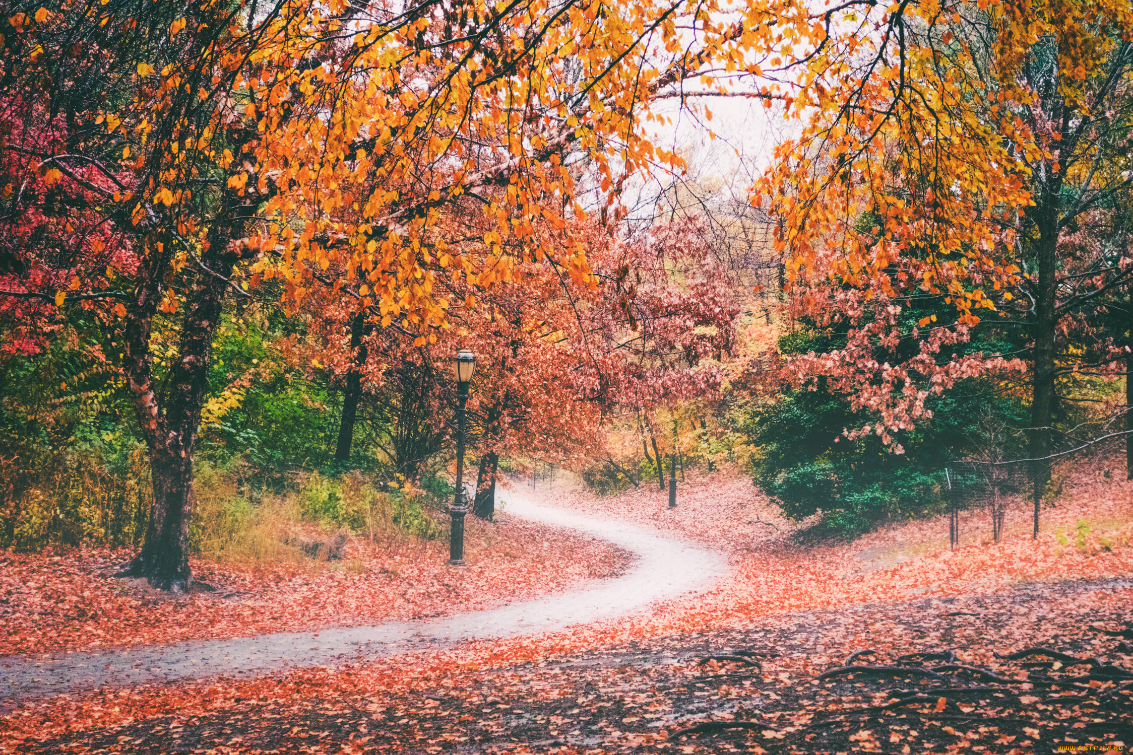 природа, дороги, национальный, парк, ордеса, восход, монте, пердидо