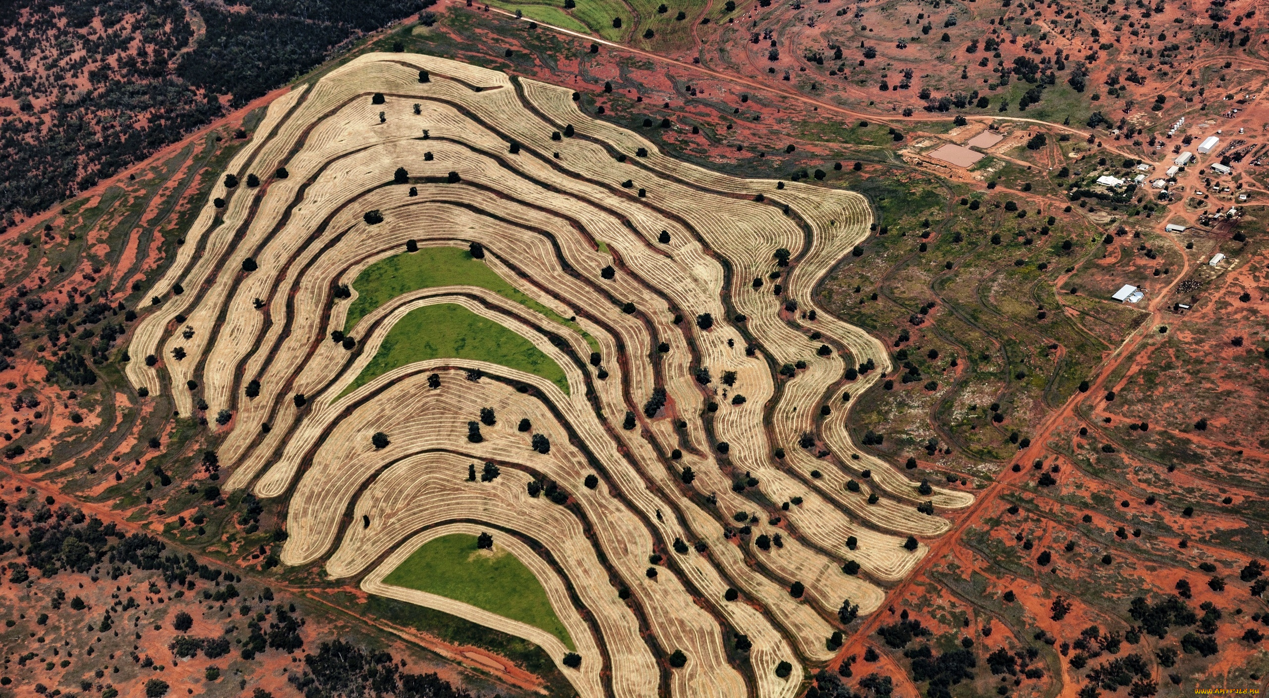 новый, южный, уэльс, в, австралии, природа, поля, деревья, панорама