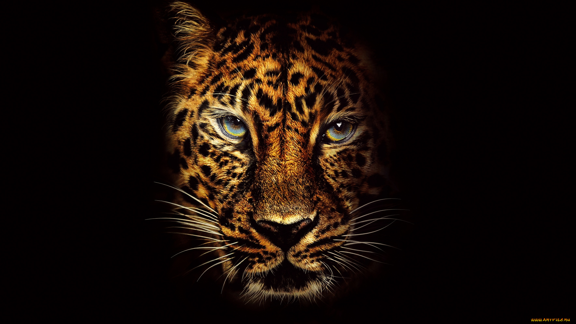 джуманджи, зов, джунглей, , 2017, кино, фильмы, jumanji, , welcome, to, the, jungle, welcome, to, the, jungle, джуманджи, зов, джунглей, фэнтези, комедия