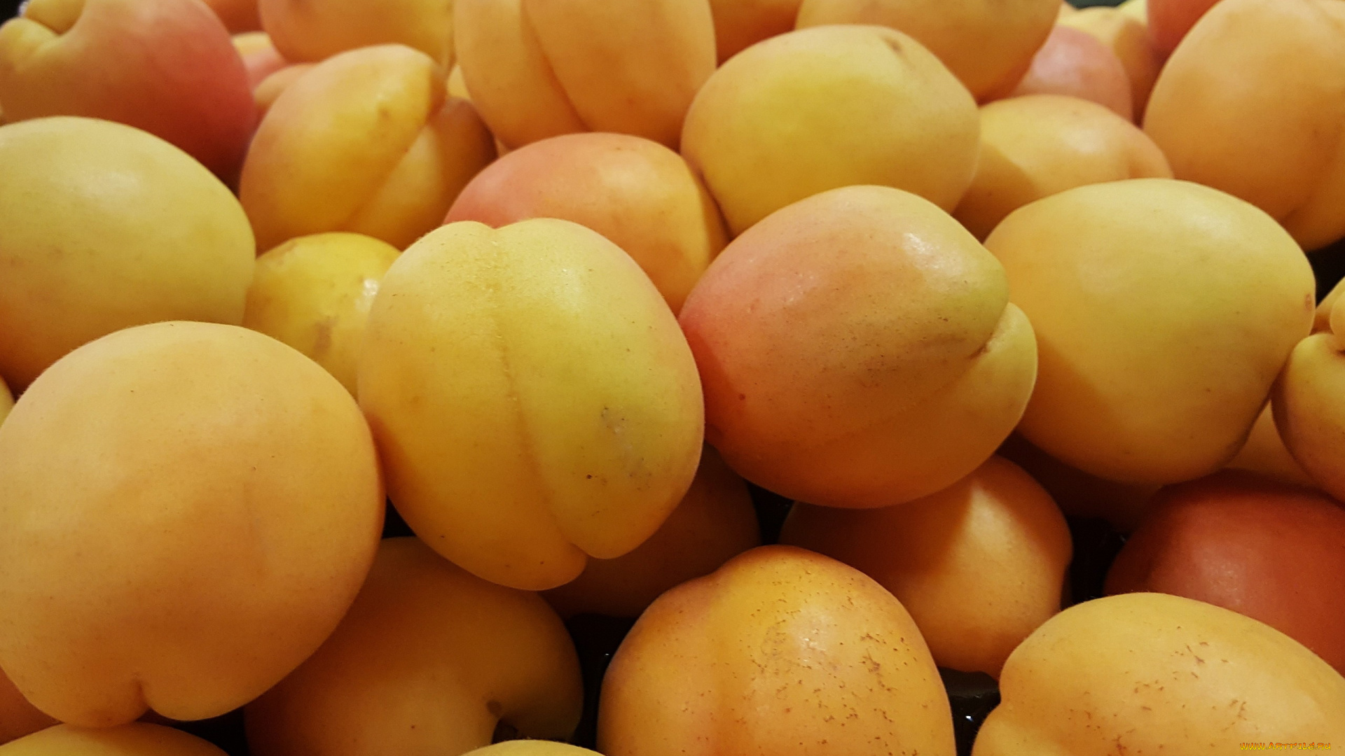 еда, персики, , сливы, , абрикосы, абрикосы