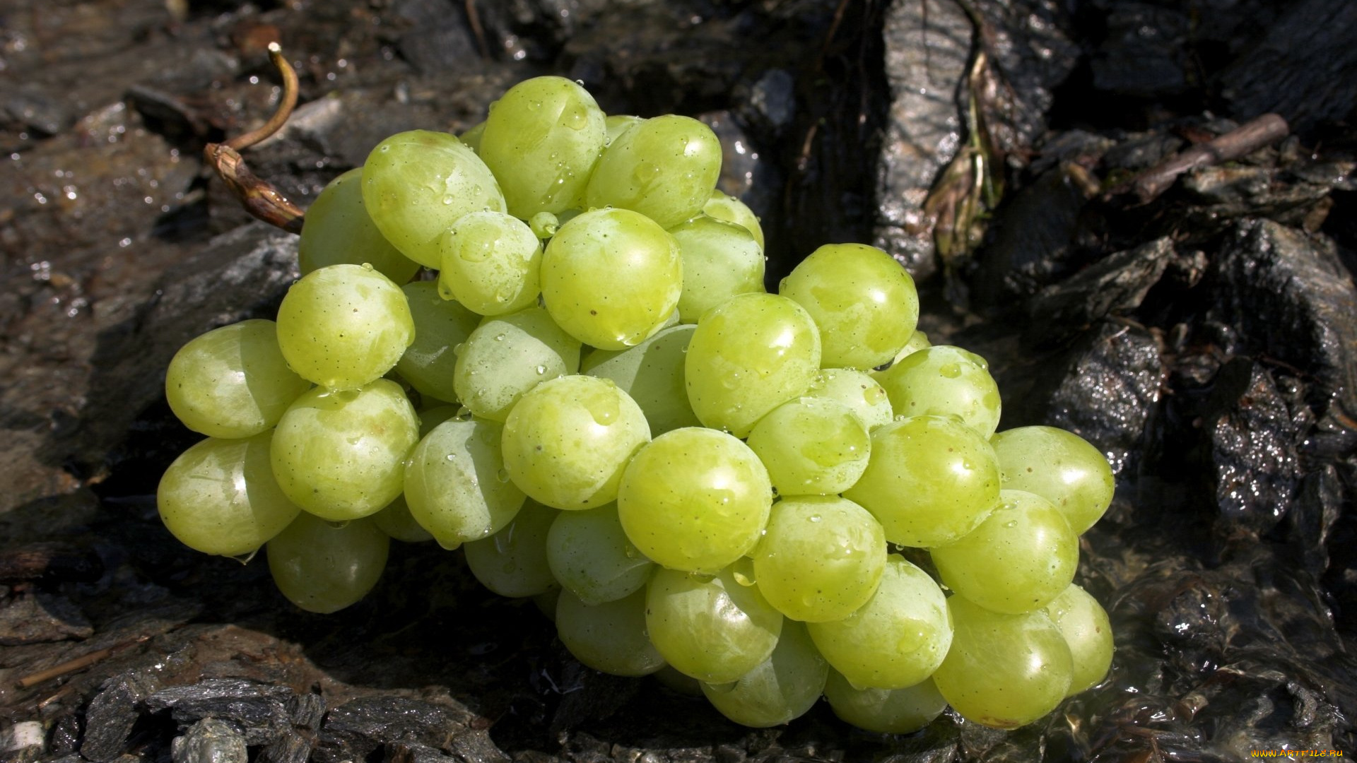 еда, виноград, ягоды, гроздь