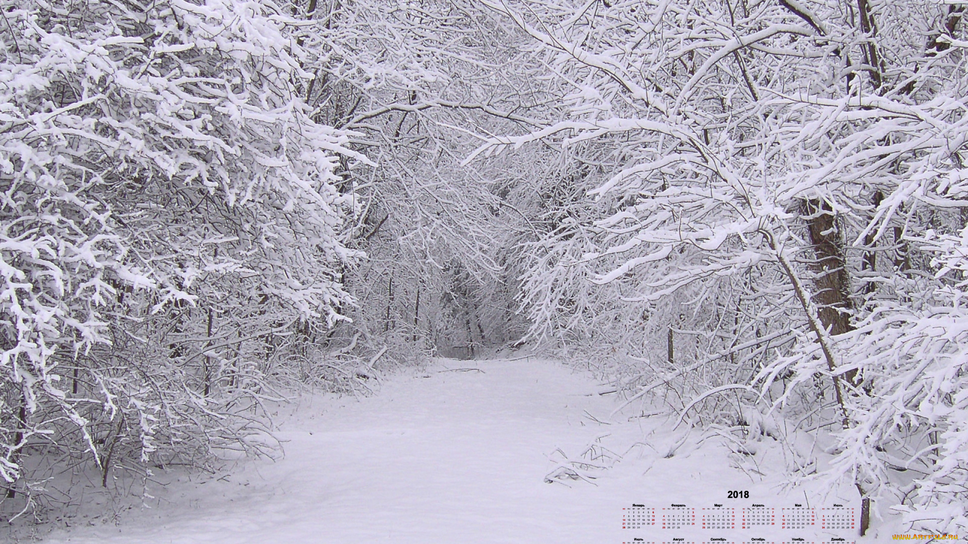 календари, природа, снег, деревья, 2018
