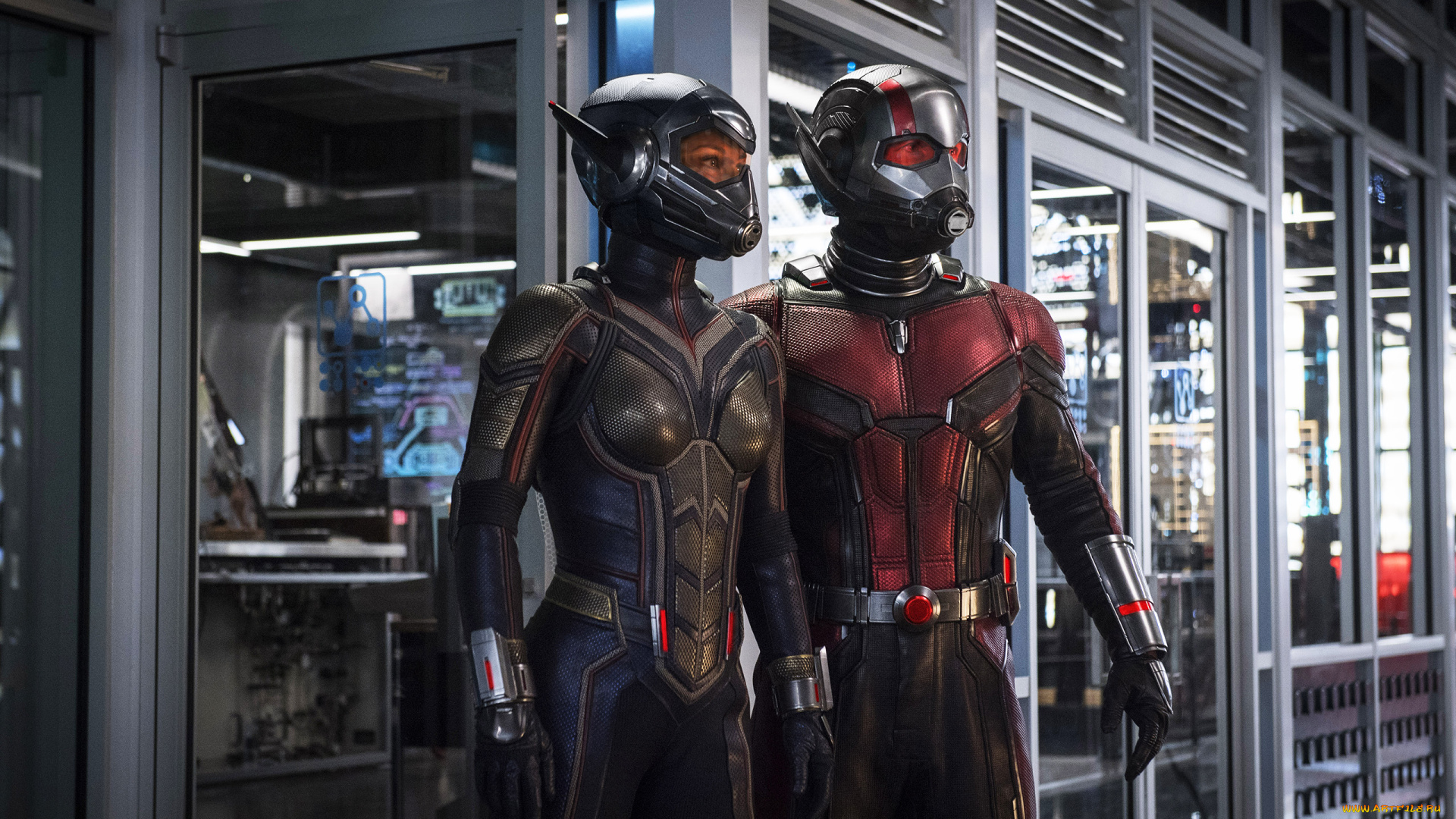 кино, фильмы, ant-man, and, the, wasp, ant-man, and, the, wasp