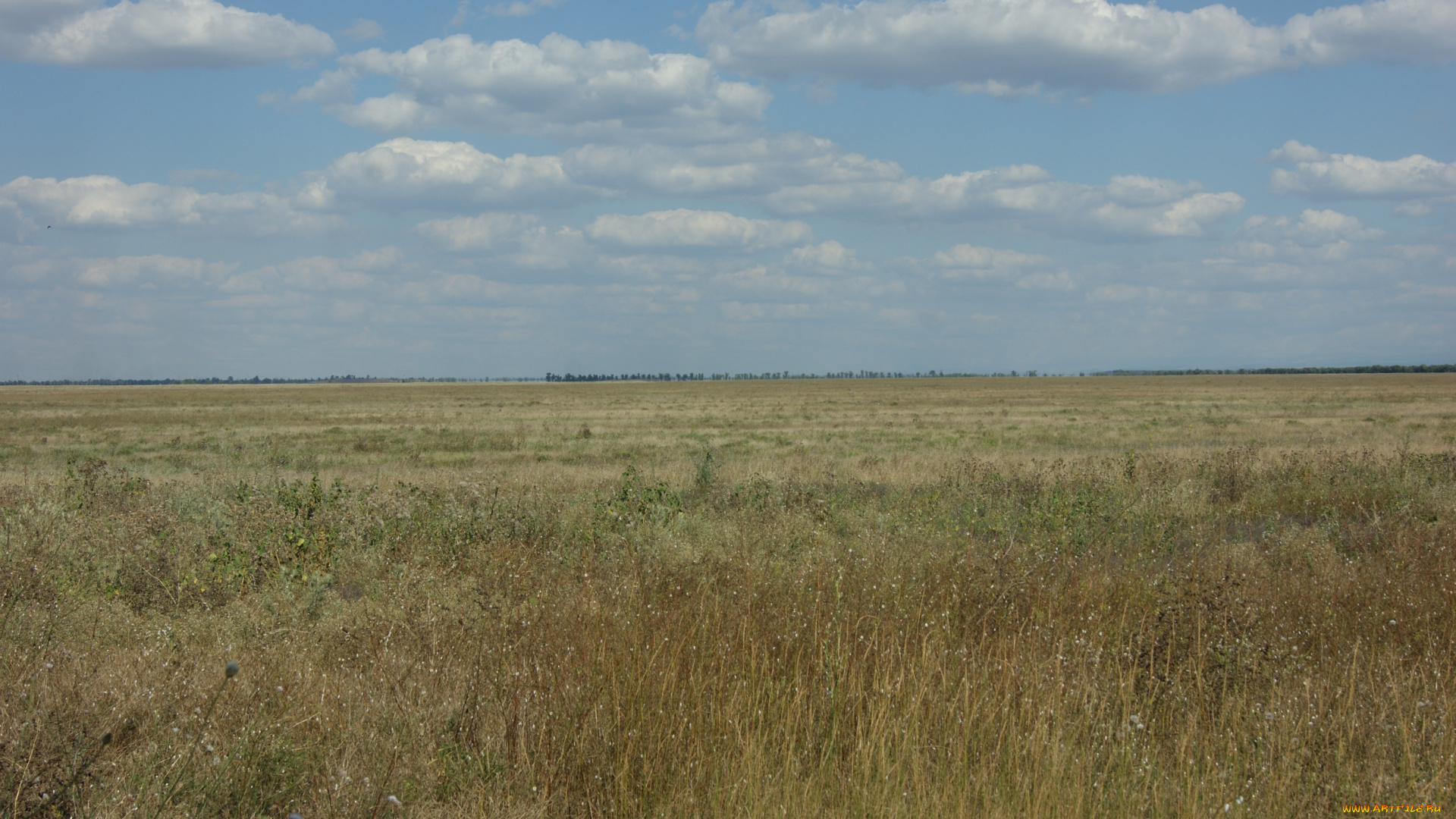 крым, , степь, природа, пейзажи, степь, небо, трава