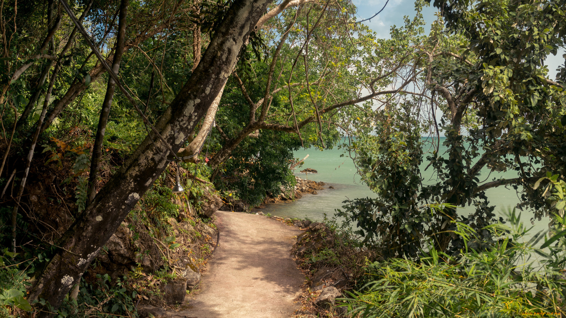 природа, дороги, простор