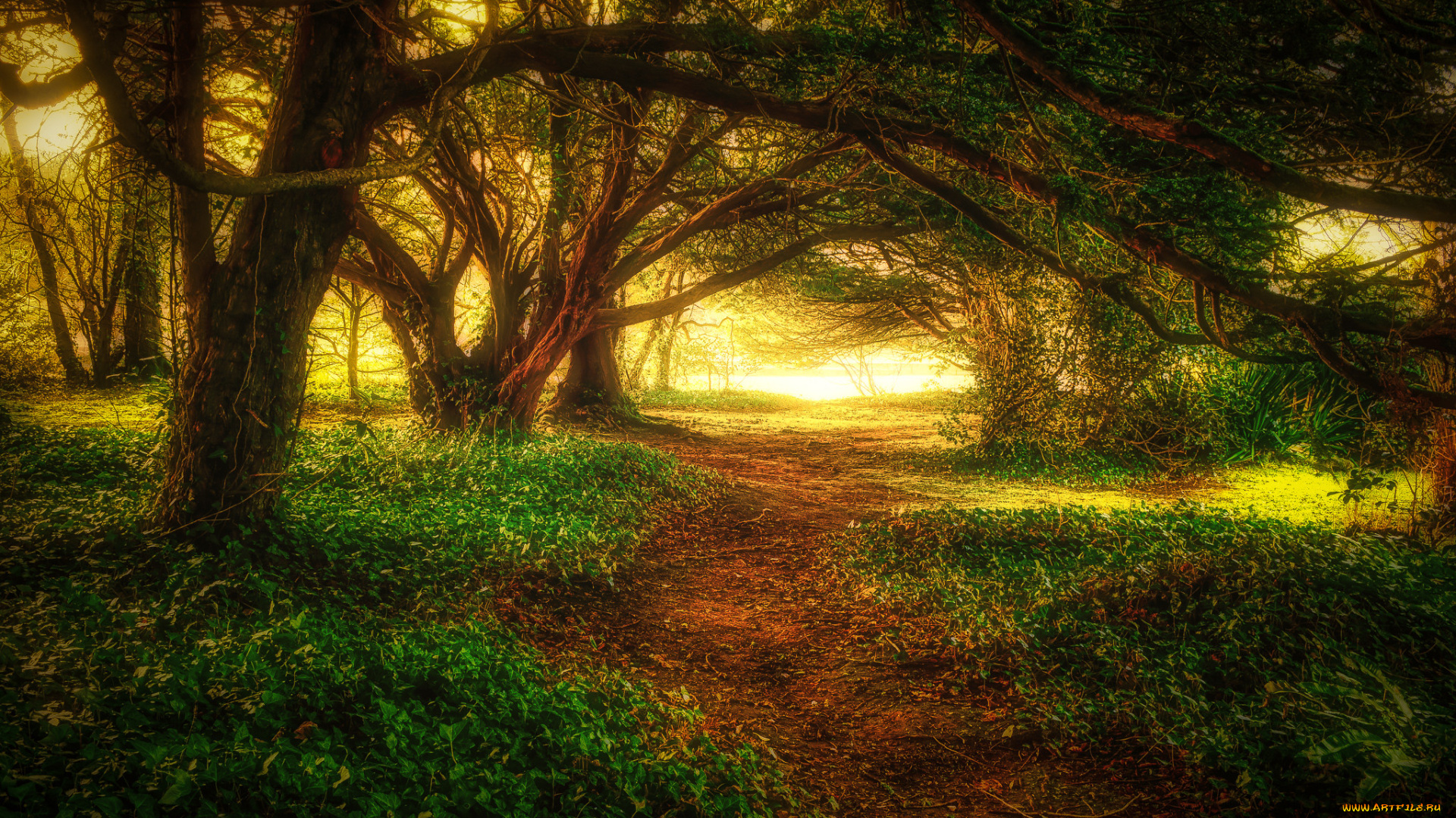 природа, дороги, простор