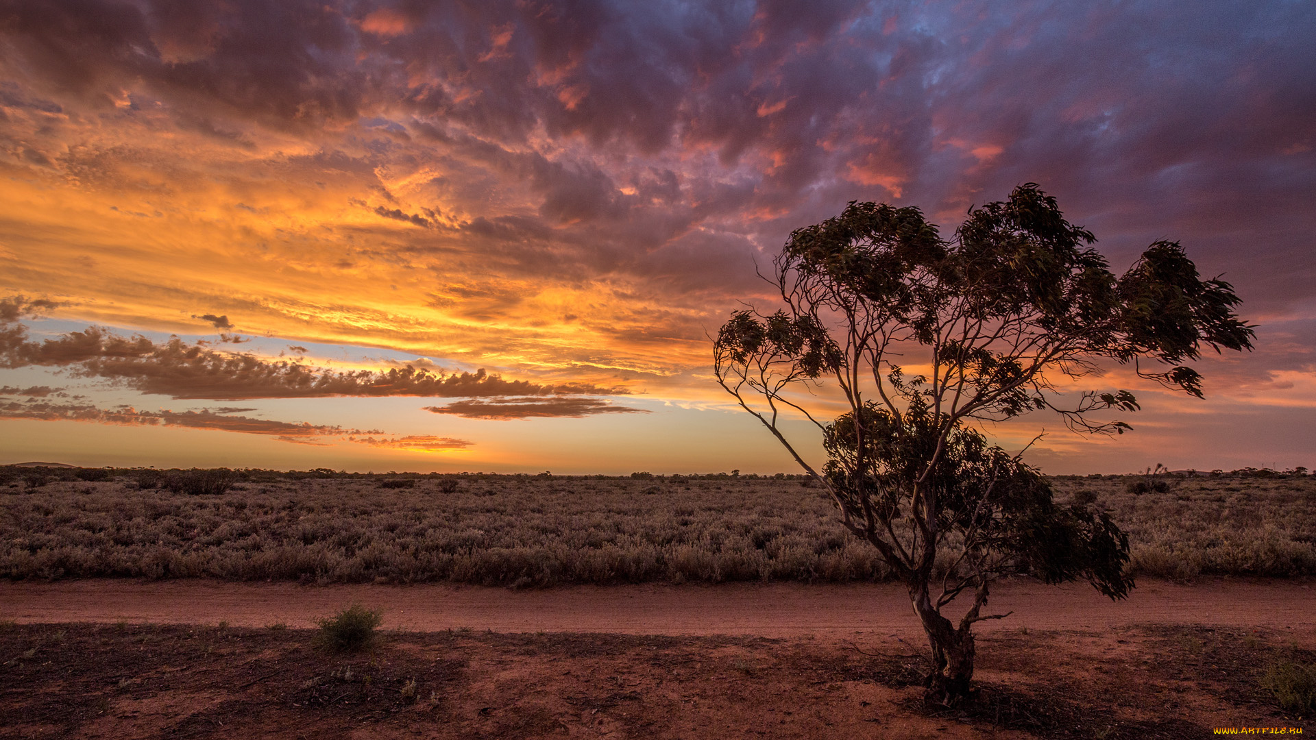 природа, пейзажи, простор