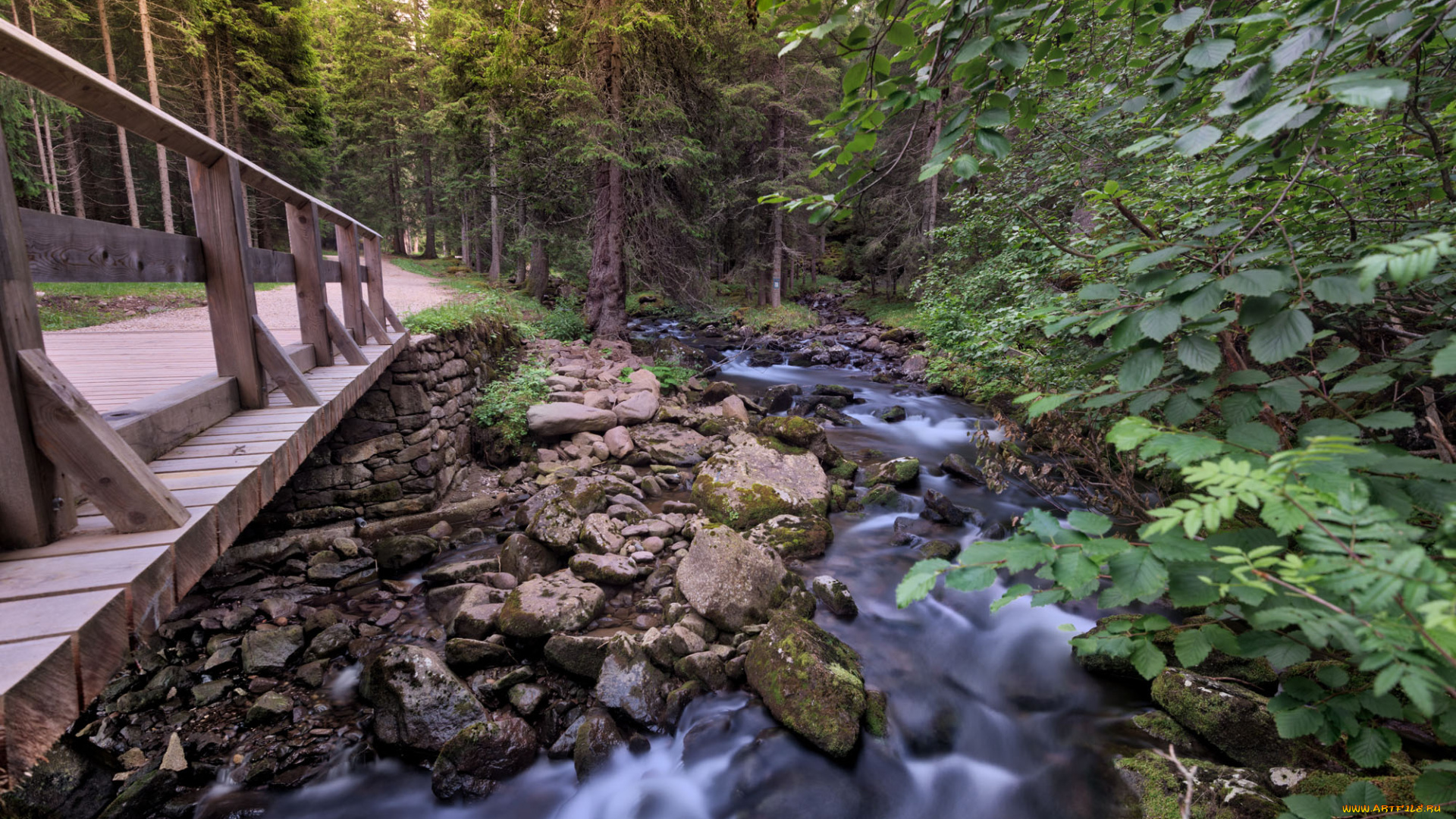 природа, реки, озера, простор