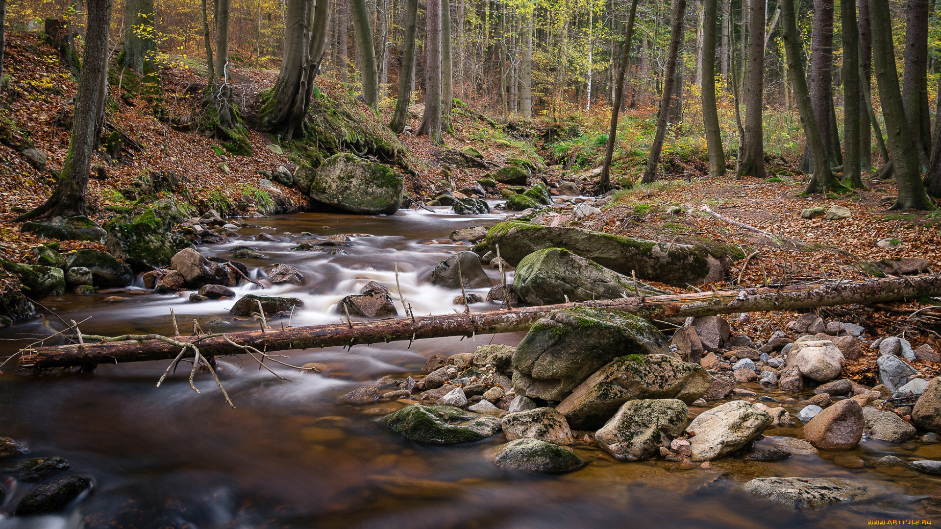 природа, реки, озера, простор