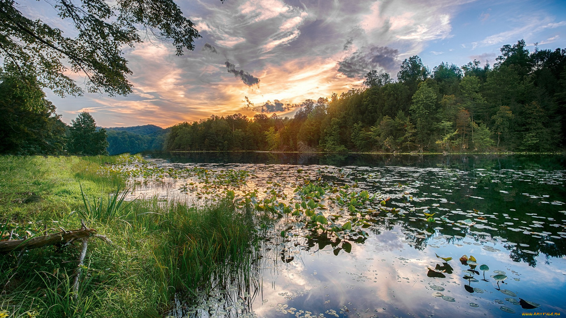 природа, реки, озера, простор