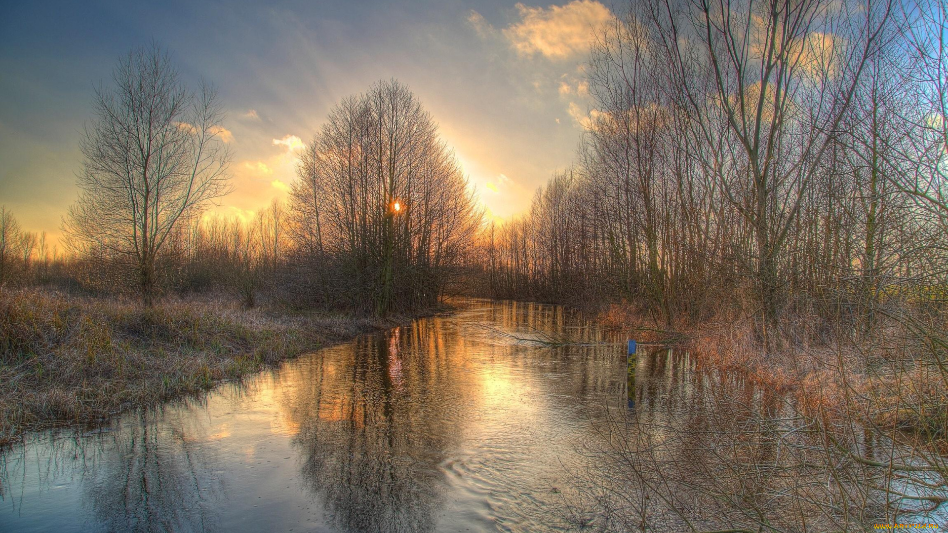природа, реки, озера, солнце, река, весна, деревья