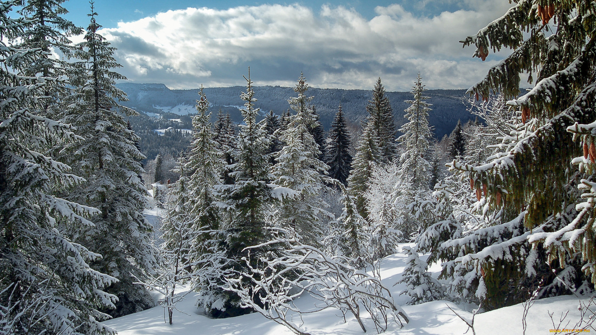 природа, зима, простор