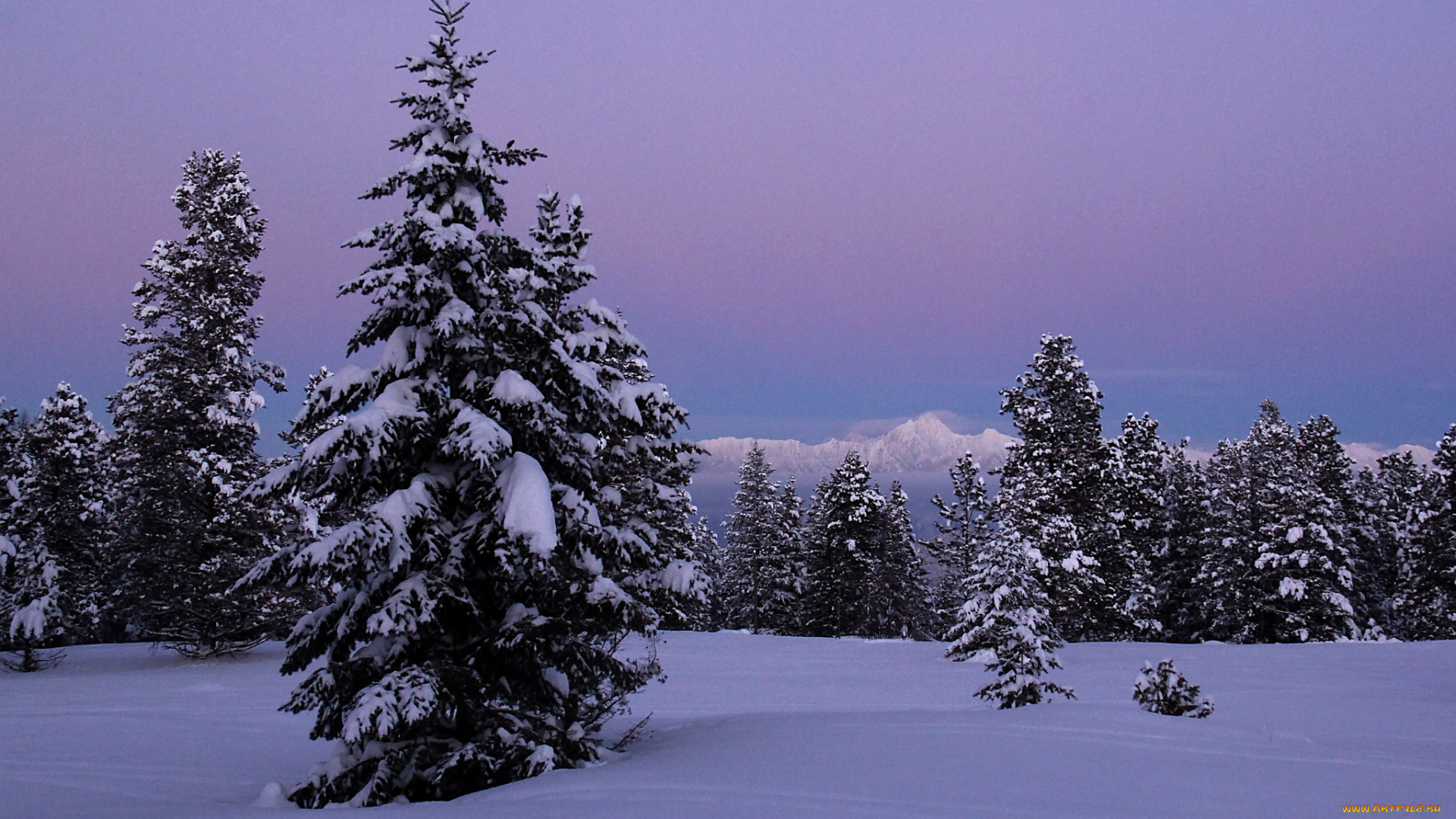 природа, зима, простор