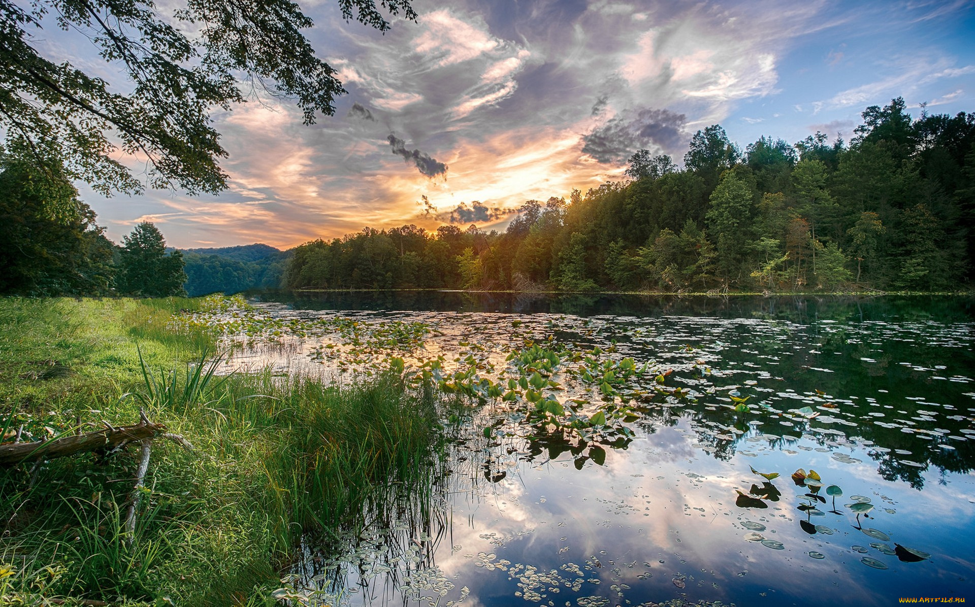 природа, реки, озера, простор