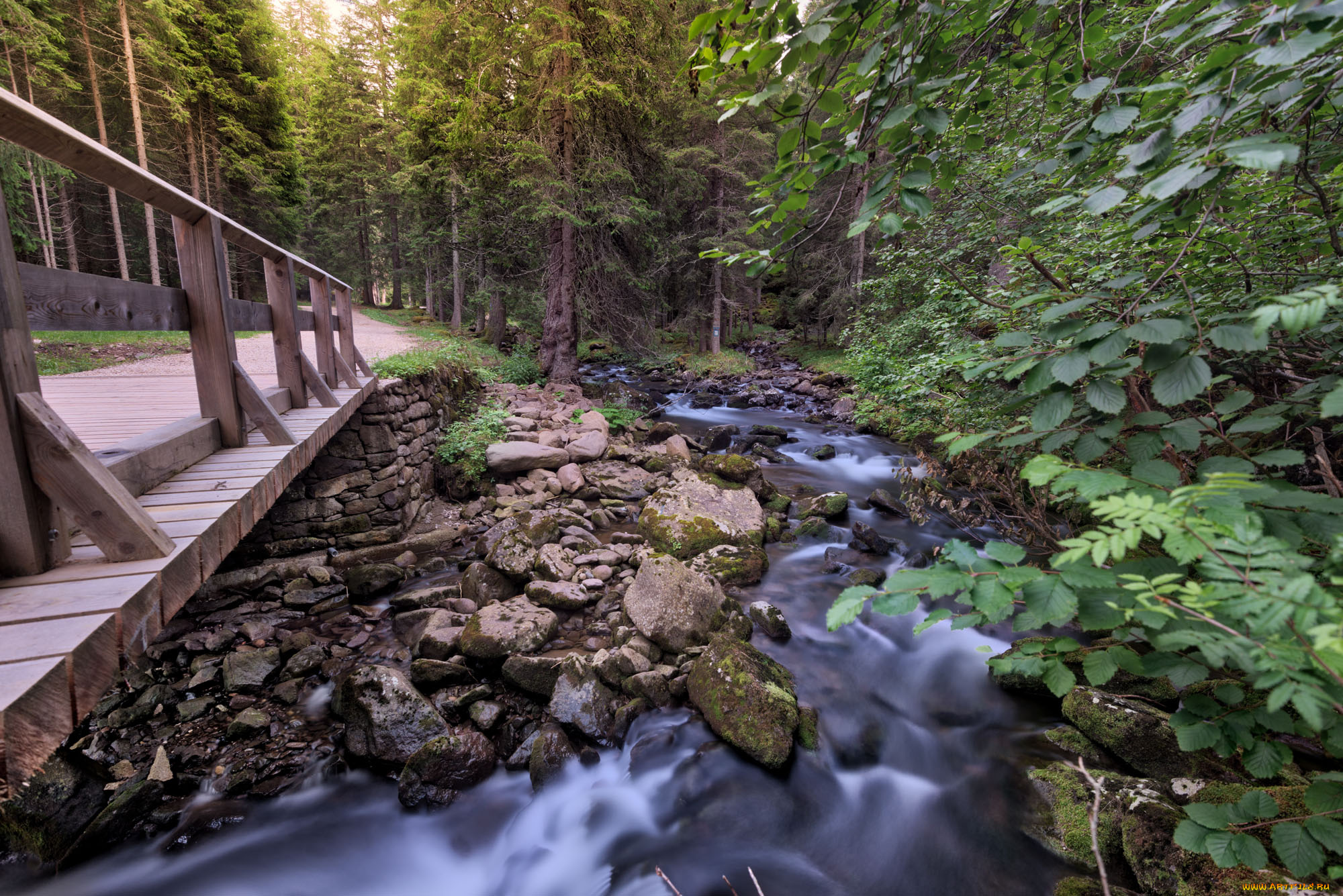 природа, реки, озера, простор