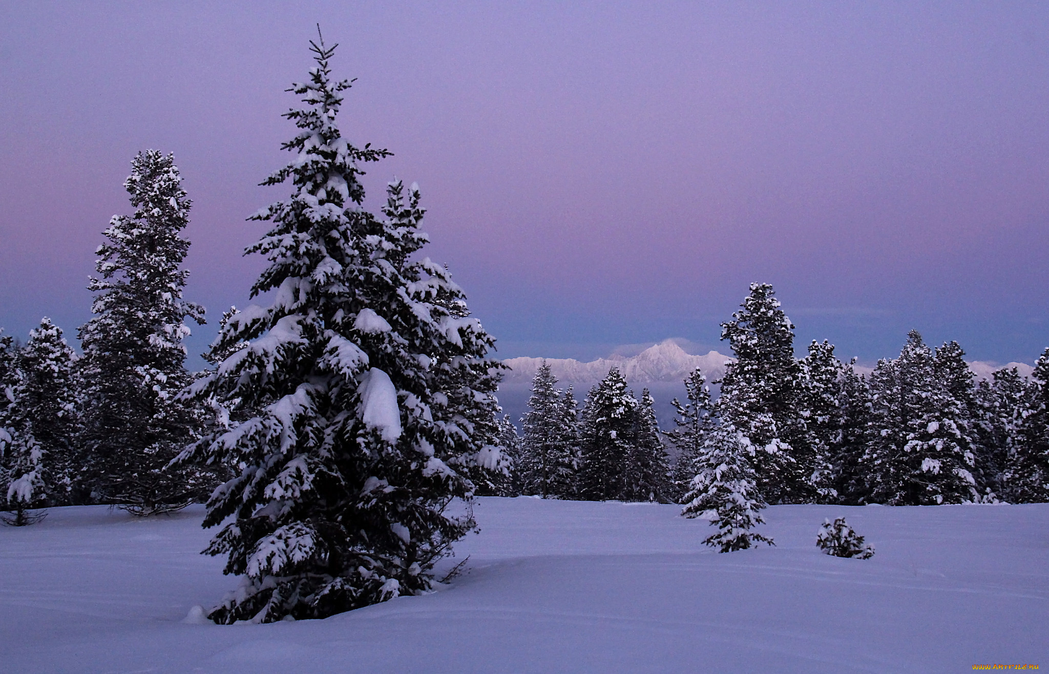 природа, зима, простор