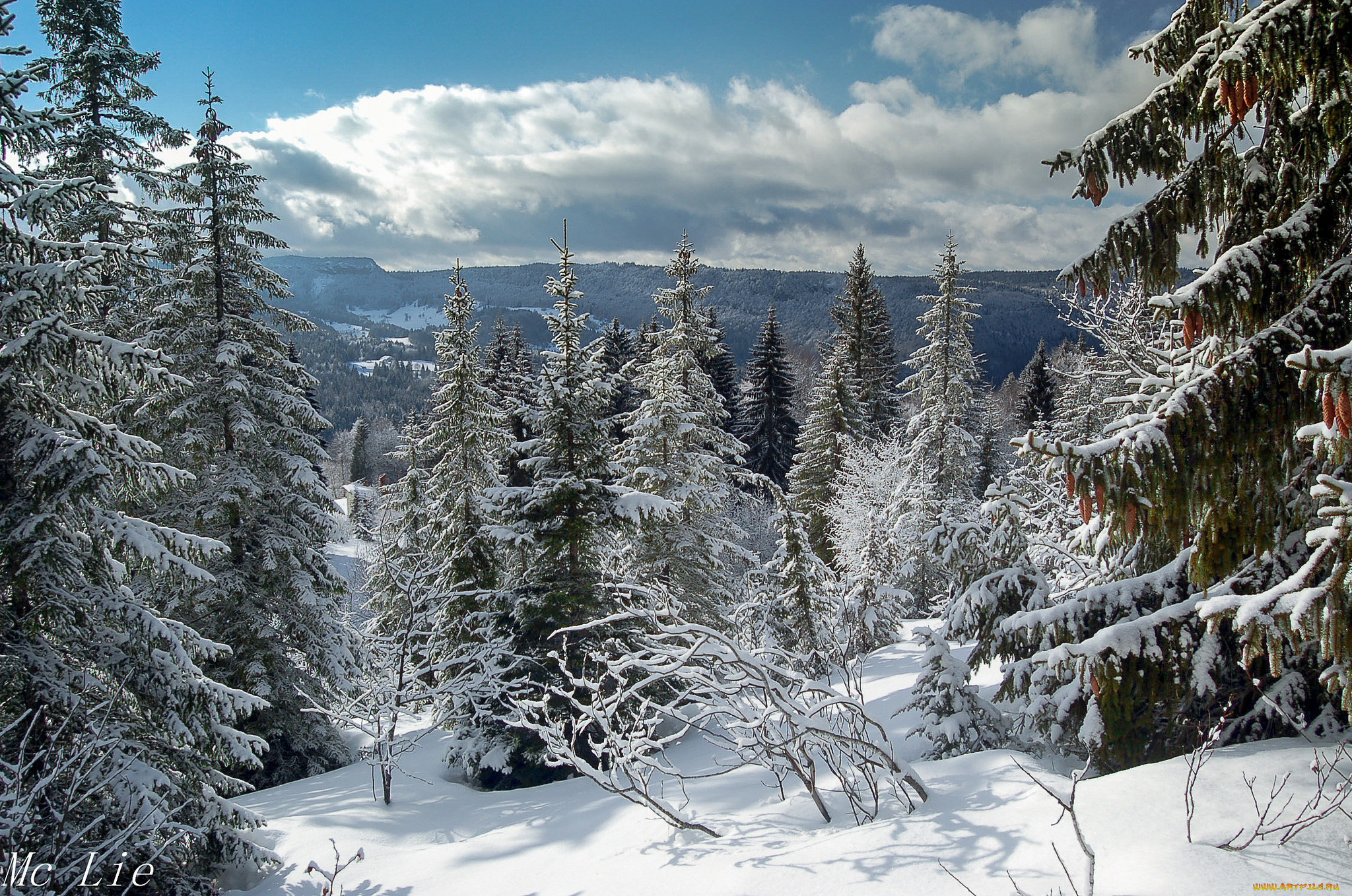 природа, зима, простор