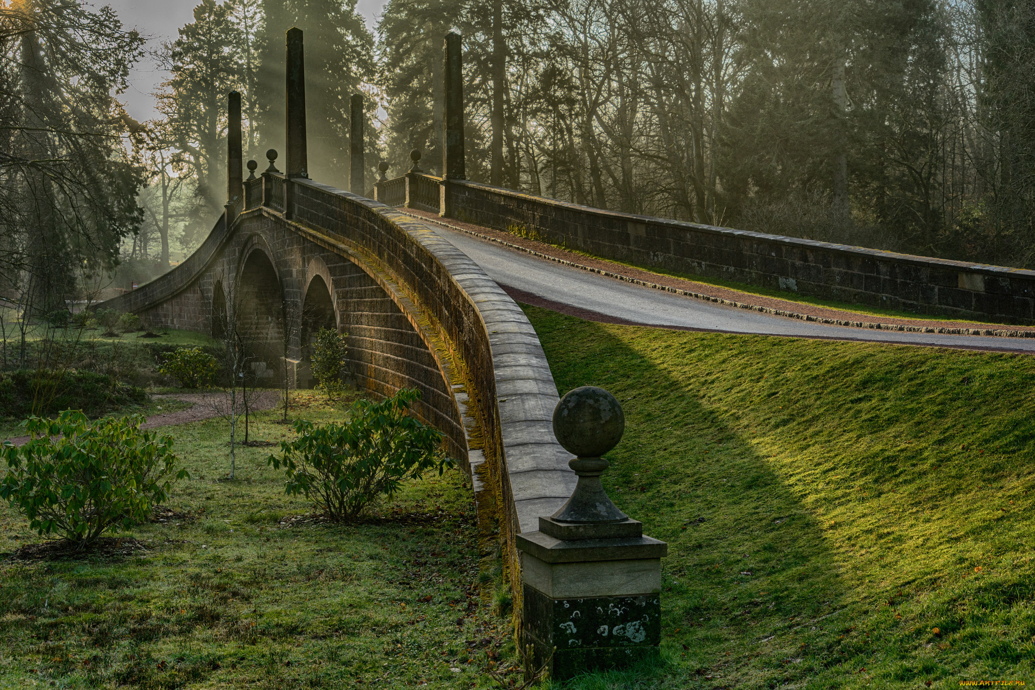 природа, дороги, простор