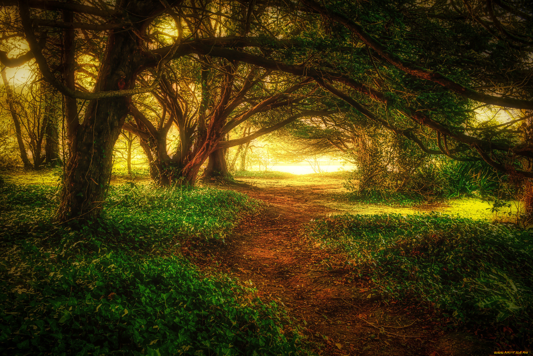 природа, дороги, простор