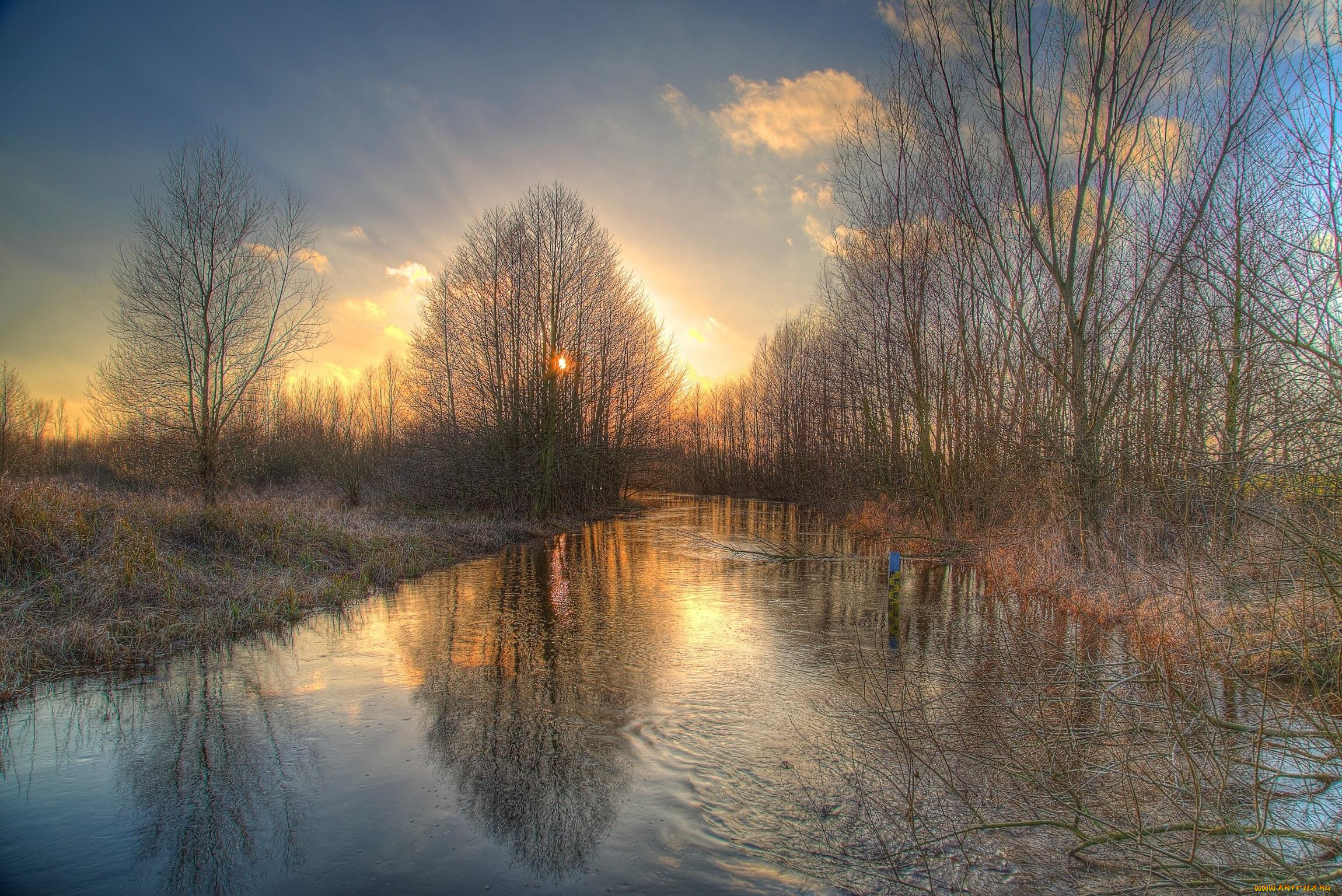 природа, реки, озера, солнце, река, весна, деревья