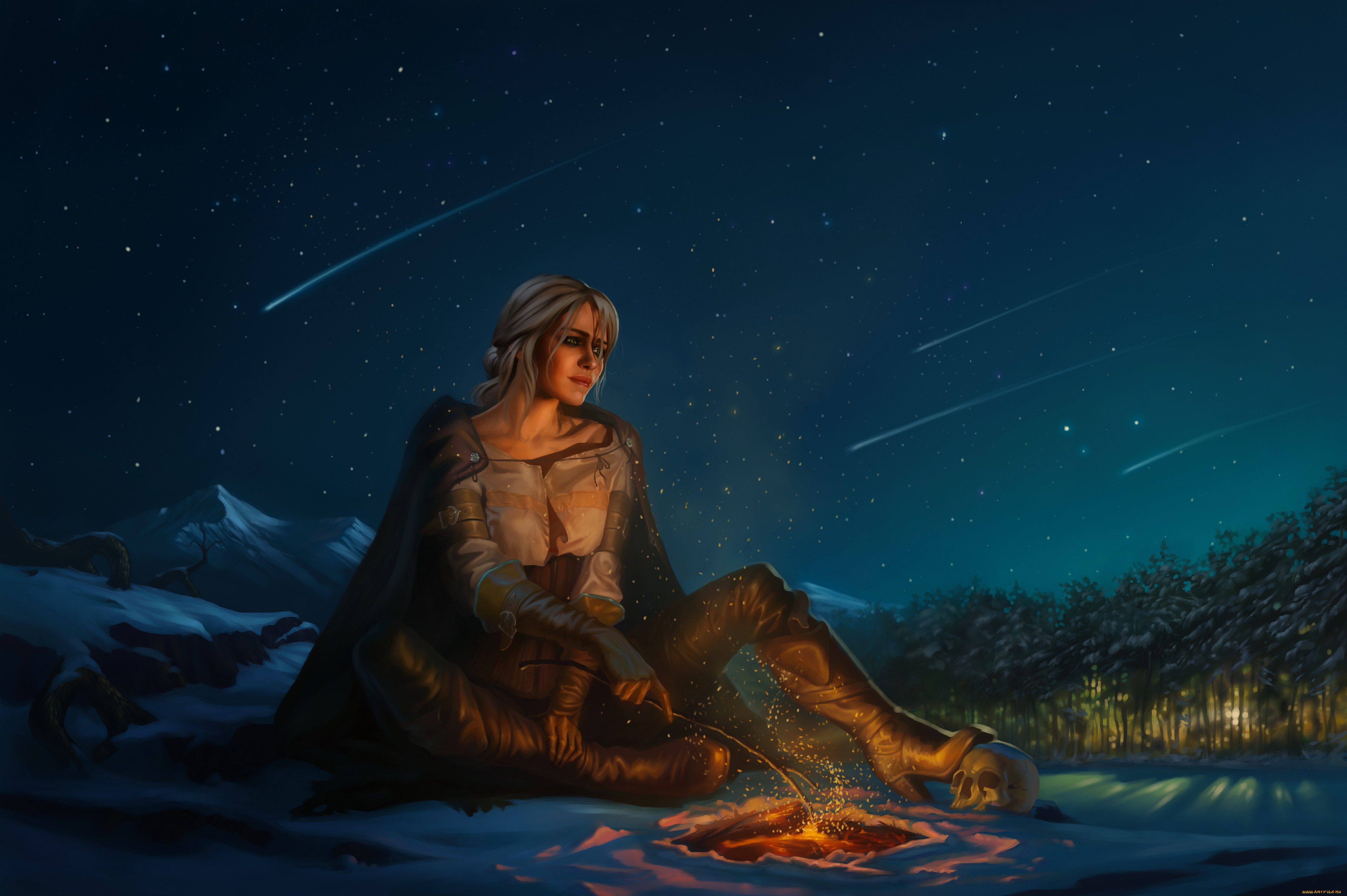 видео, игры, the, witcher, 3, , wild, hunt, девушка, костер, фон