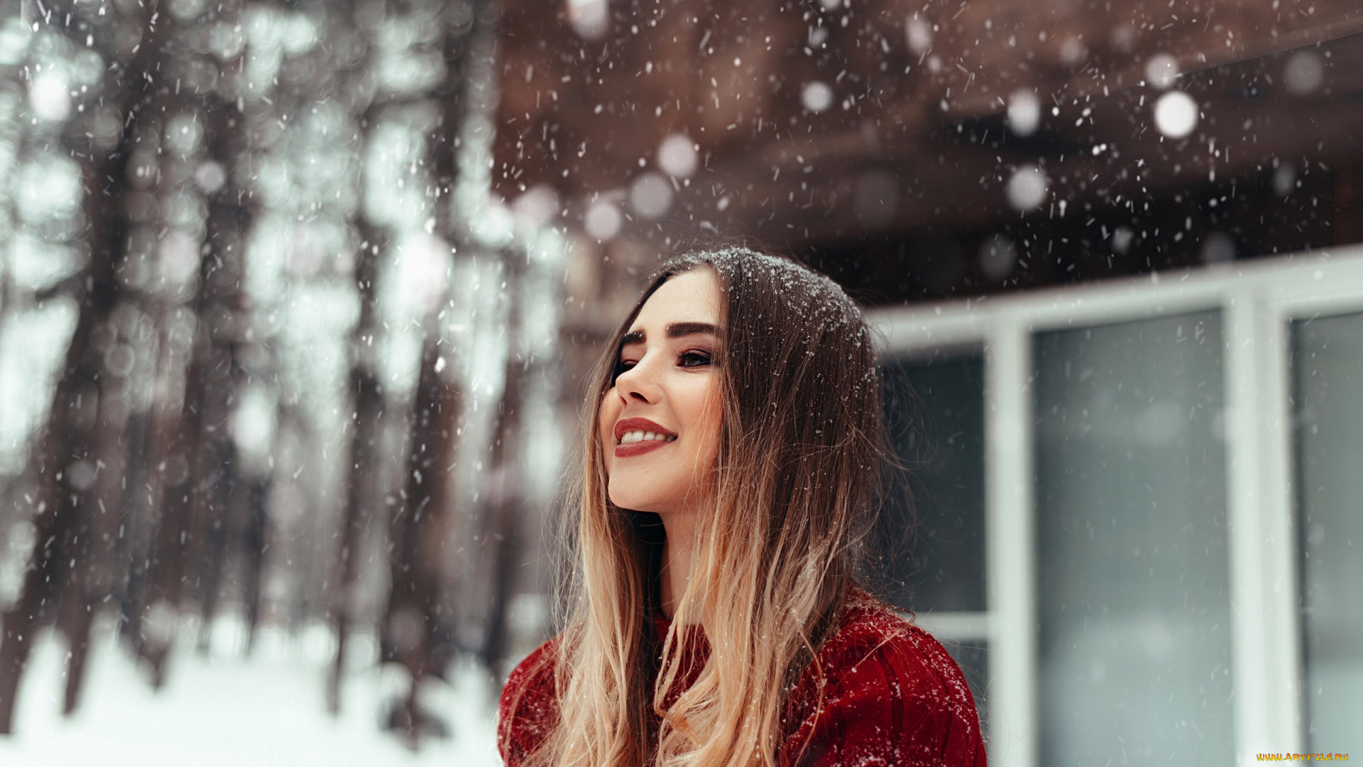 девушка, девушки, -unsort, , блондинки, , светловолосые, модель