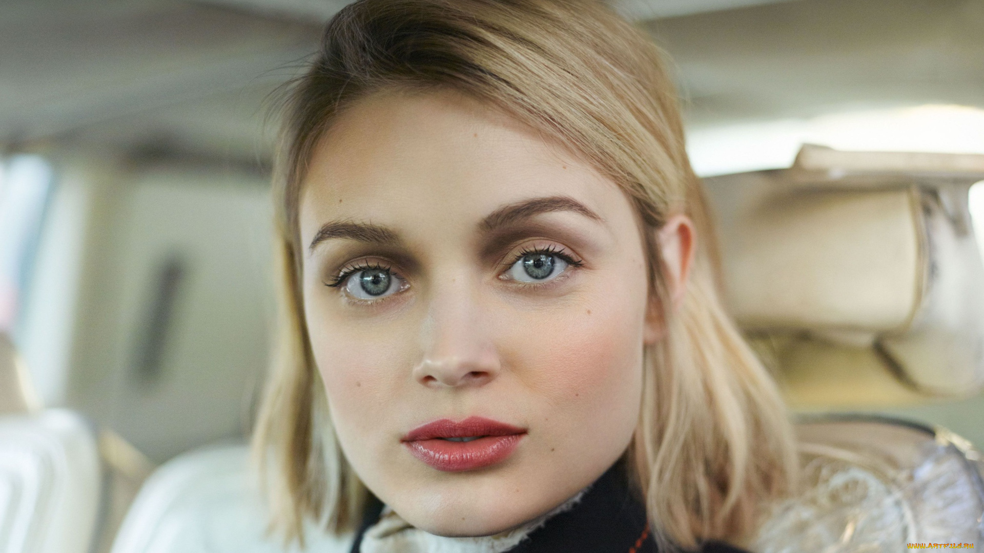 девушки, -unsort, , лица, , портреты, лицо, блондинка, bella, heathcote