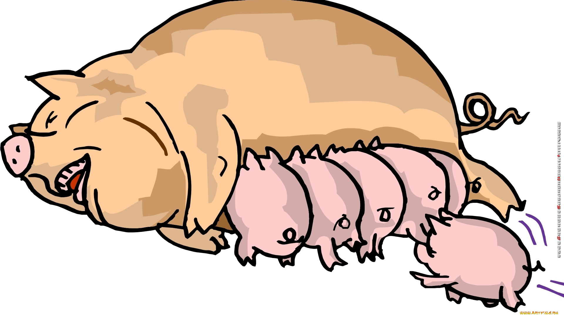 календари, рисованные, , векторная, графика, поросенок, свинья