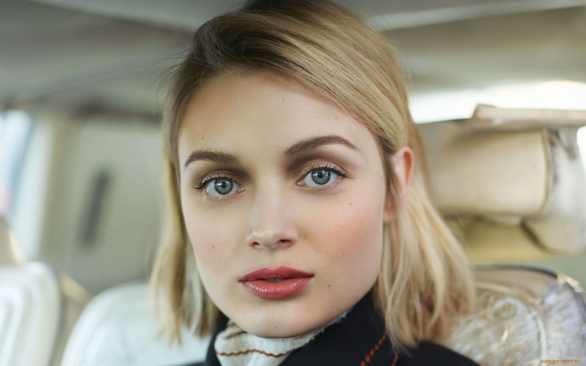 девушки, -unsort, , лица, , портреты, лицо, блондинка, bella, heathcote