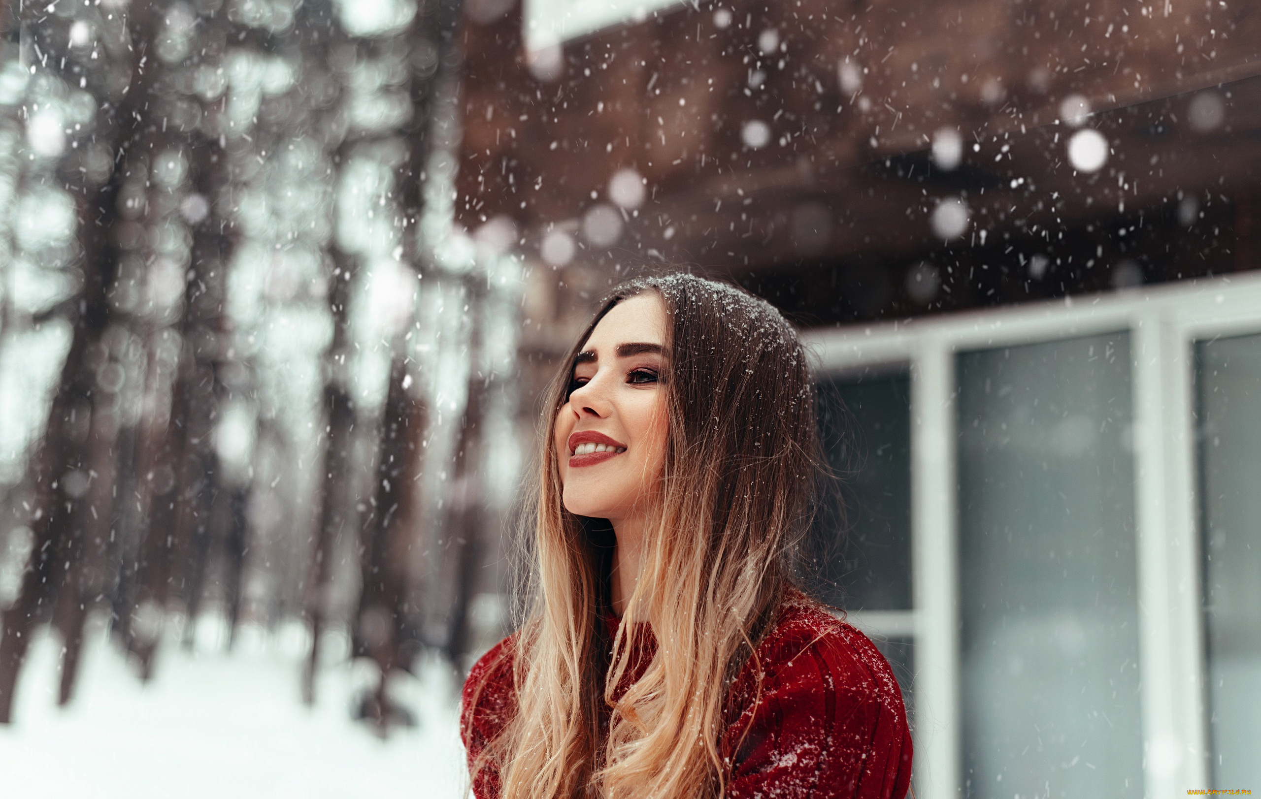 девушка, девушки, -unsort, , блондинки, , светловолосые, модель