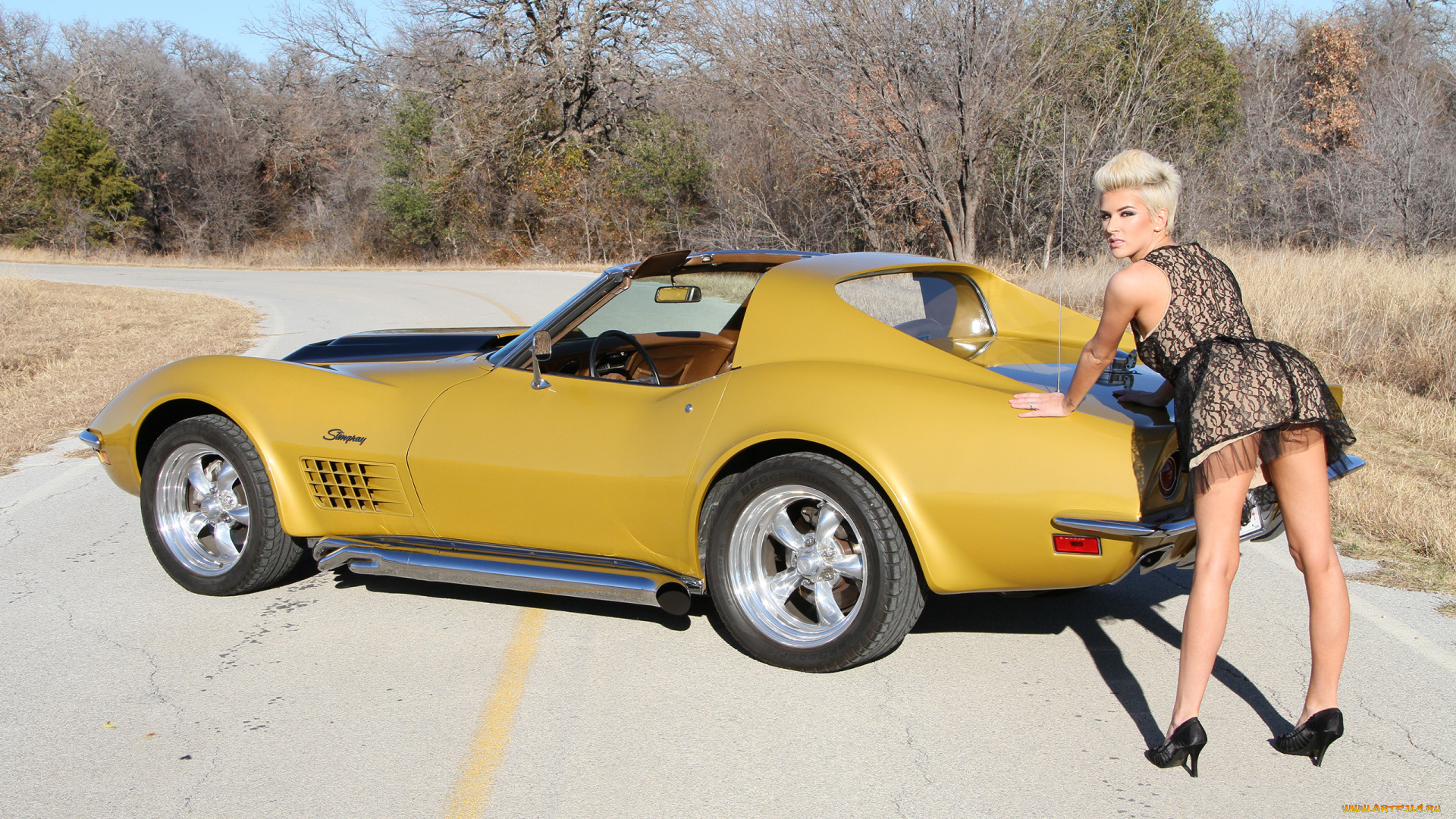 автомобили, -авто, с, девушками, красивая, девушка, corvette