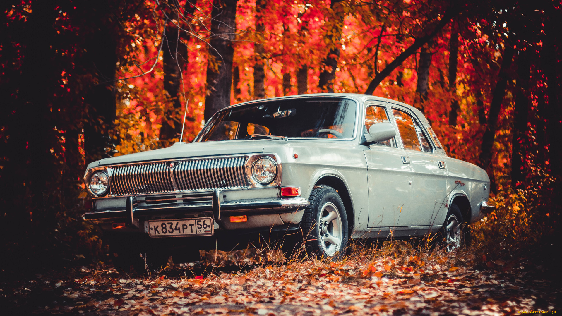 автомобили, газ, волга, 24