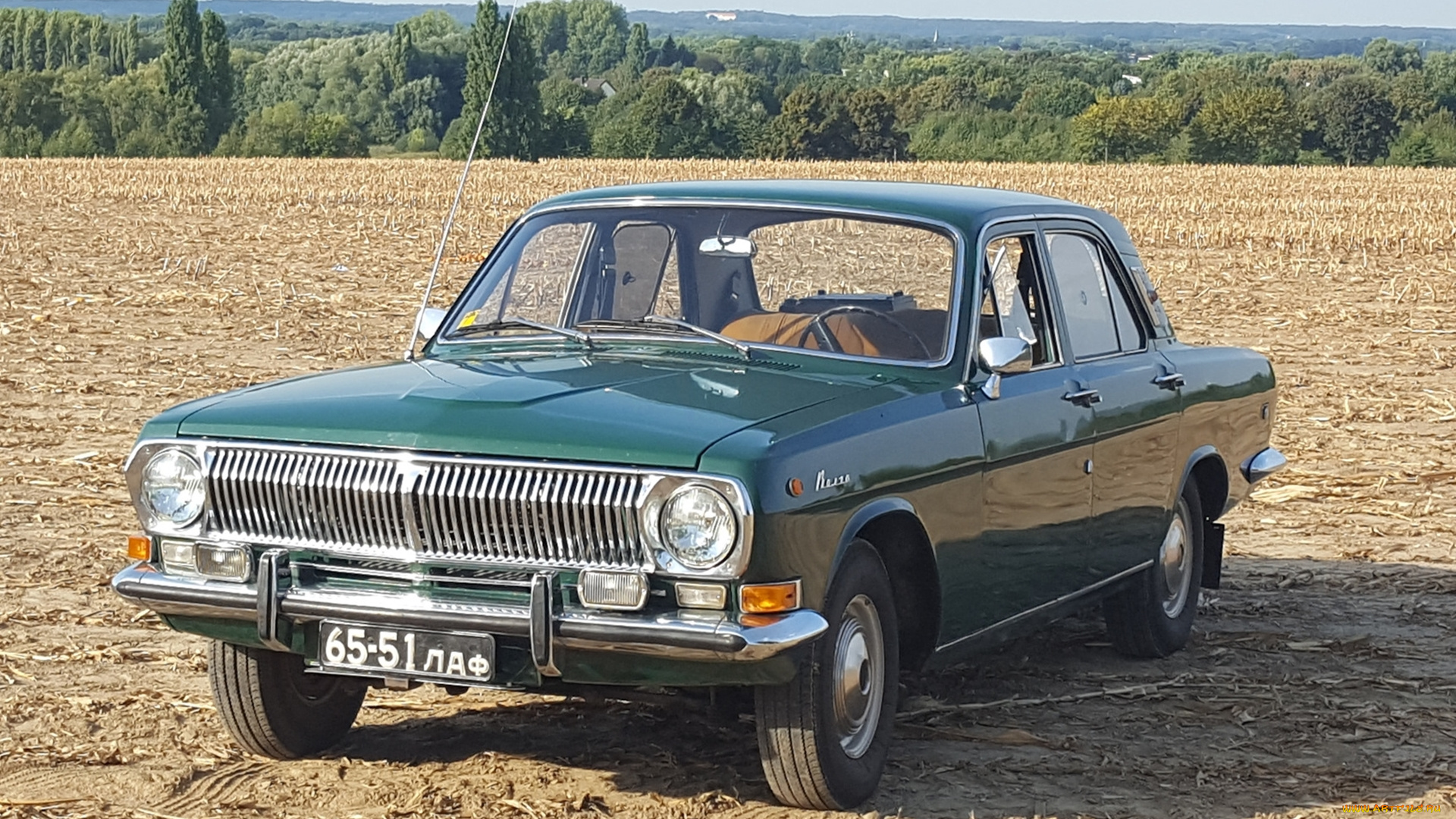 газ-, 24, волга, автомобили, газ, поле, седан, классика, автомобиль, волга, газ-, 24