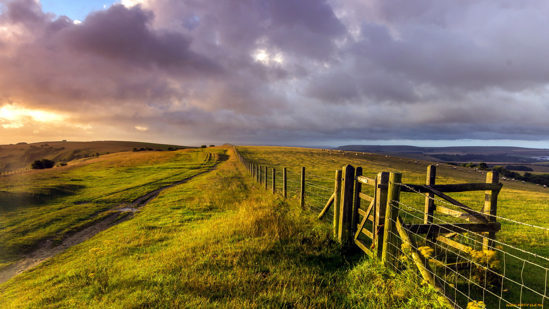 west, sussex, , england, природа, луга, ограда, тучи, небо