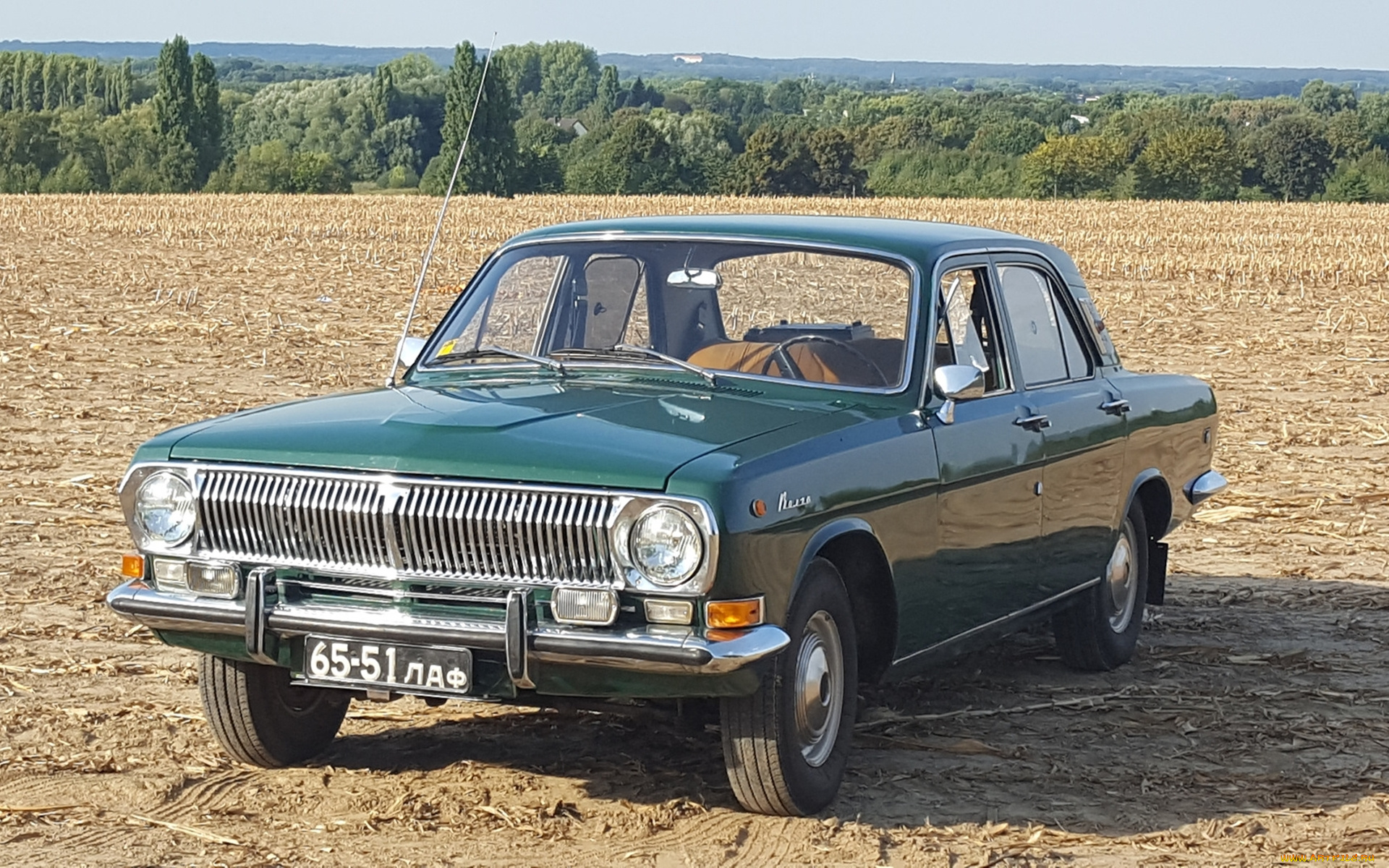 газ-, 24, волга, автомобили, газ, поле, седан, классика, автомобиль, волга, газ-, 24