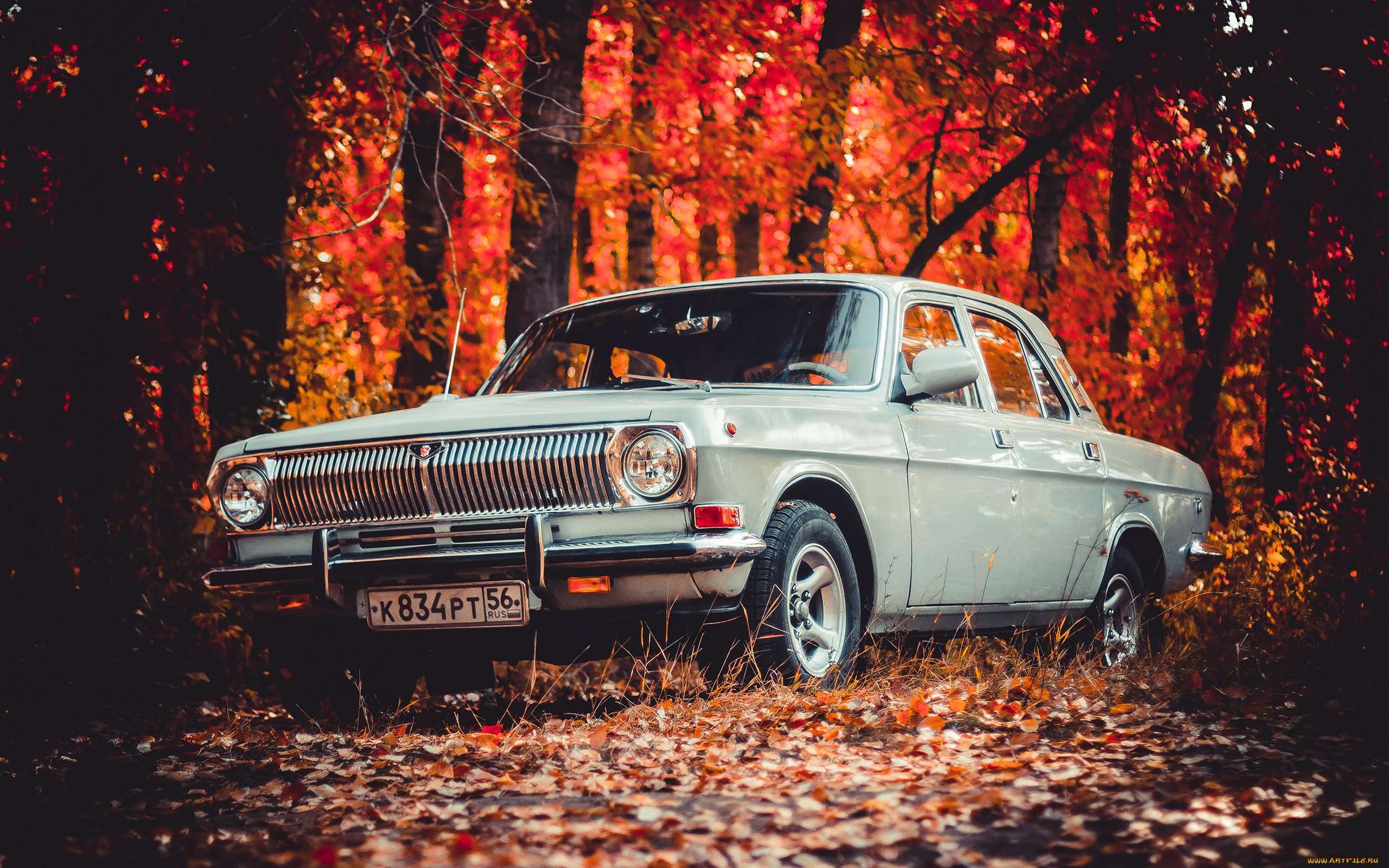 автомобили, газ, волга, 24