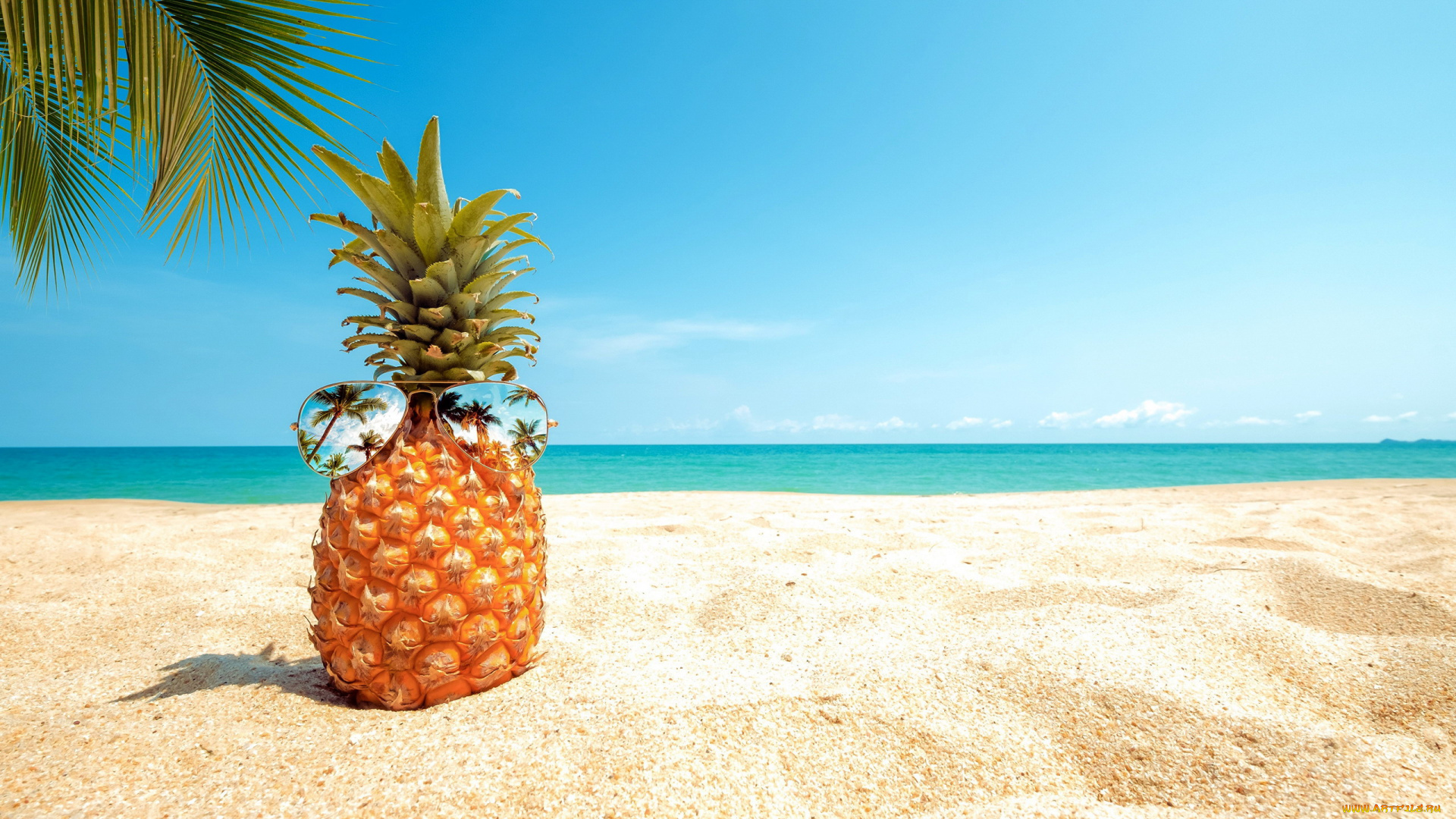 еда, ананас, пальма, пляж, песок, очки, отражение